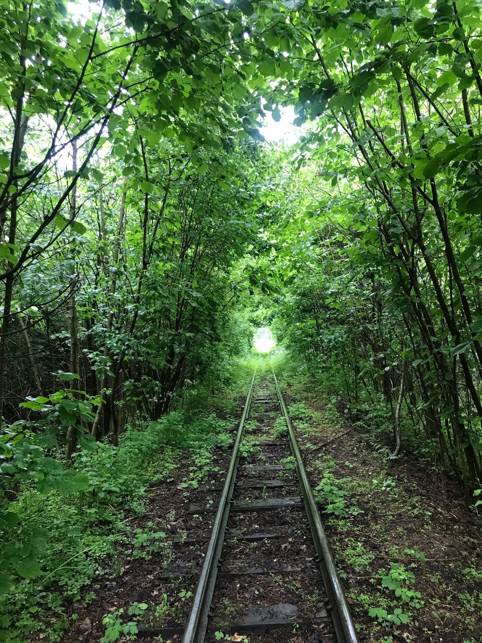 21.06.2022. УЖД торфопредприятия Березинское