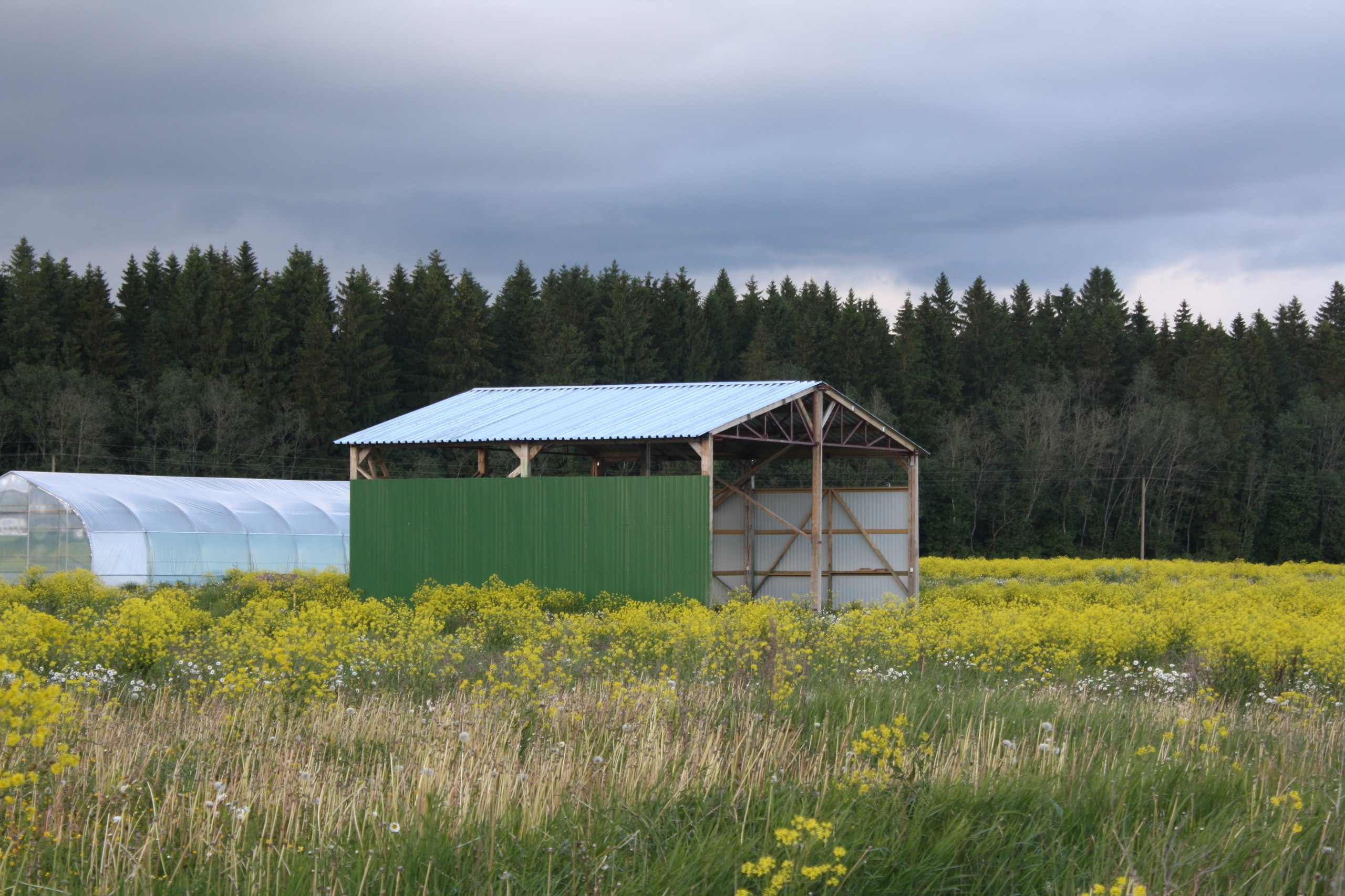 30.06.2016. Первая очередь депо