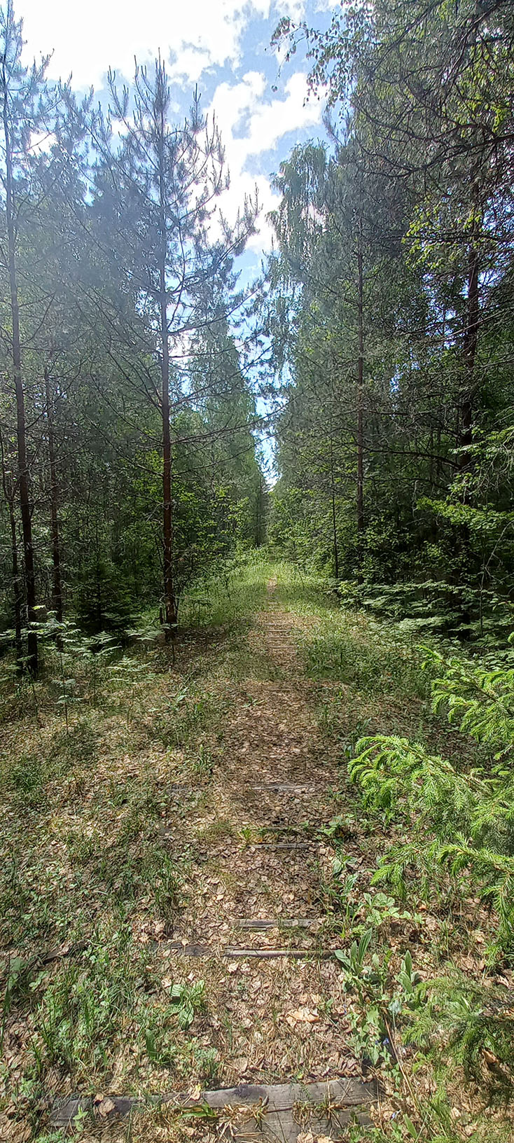 11.06.2023. Остатки шпал недалеко от Язёвки
