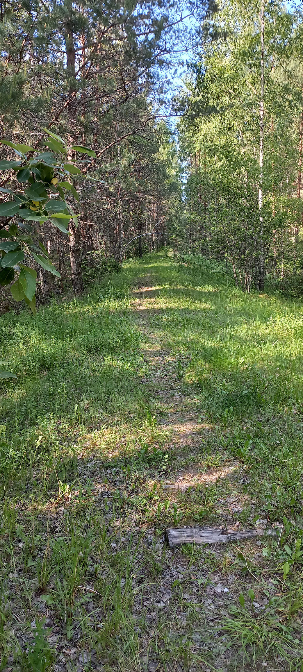 11.06.2023. Остатки шпал недалеко от Язёвки