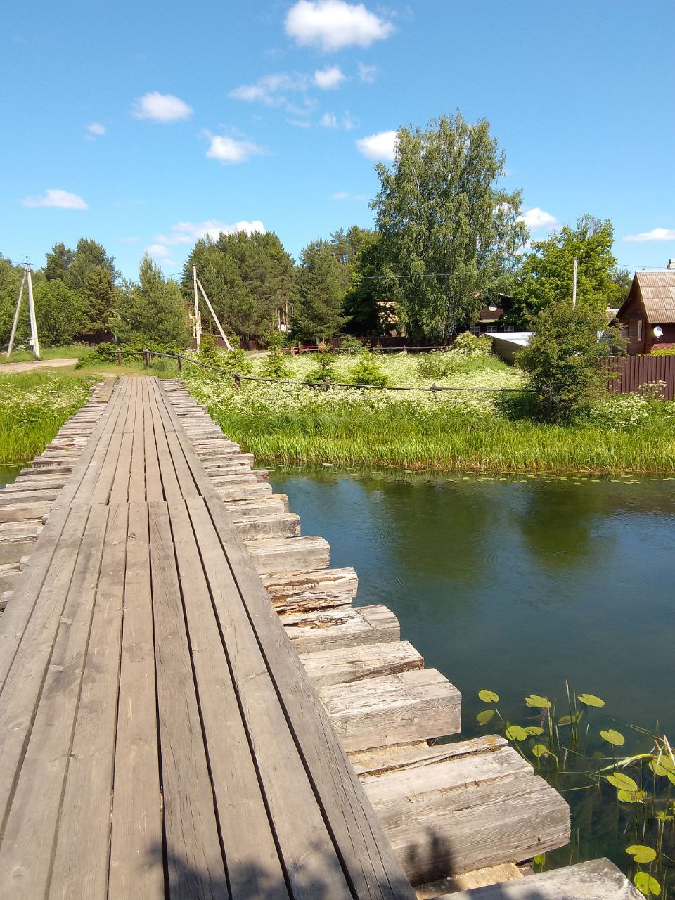 11.06.2023. Бывший жд мост через Вёксу