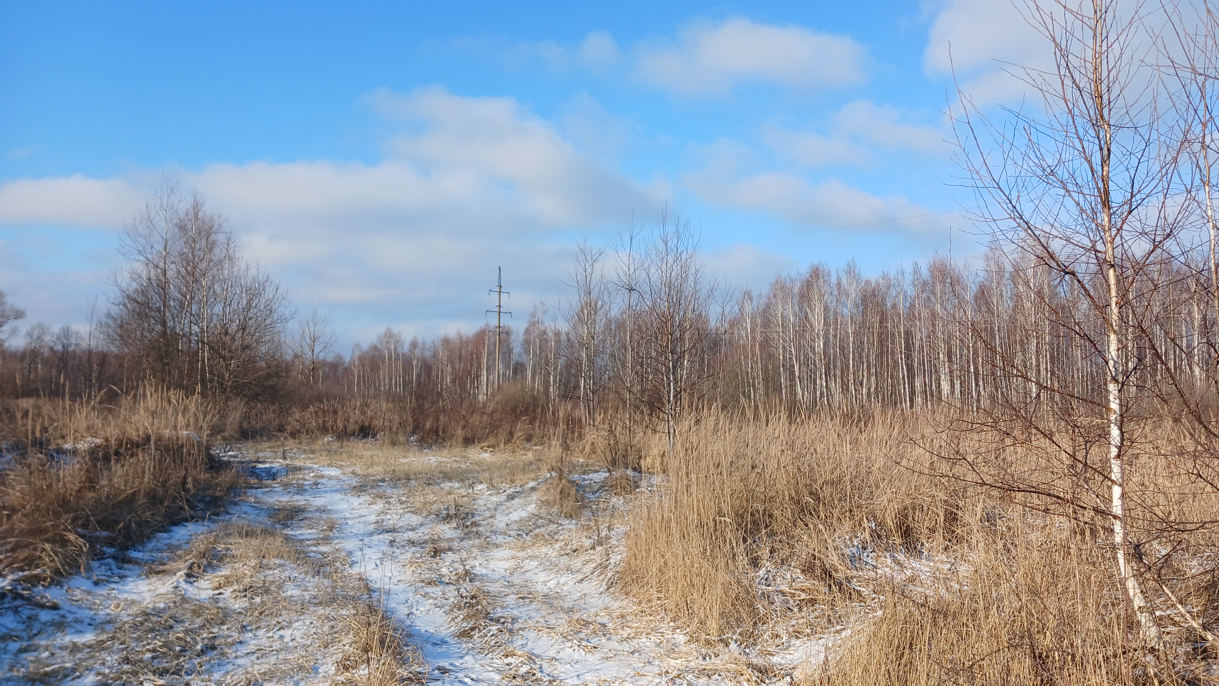 Узкоколейная железная дорога Гусевского предприятия промышленного железнодорожного транспорта — фотографии, сделанные в 2025 году (часть 1)