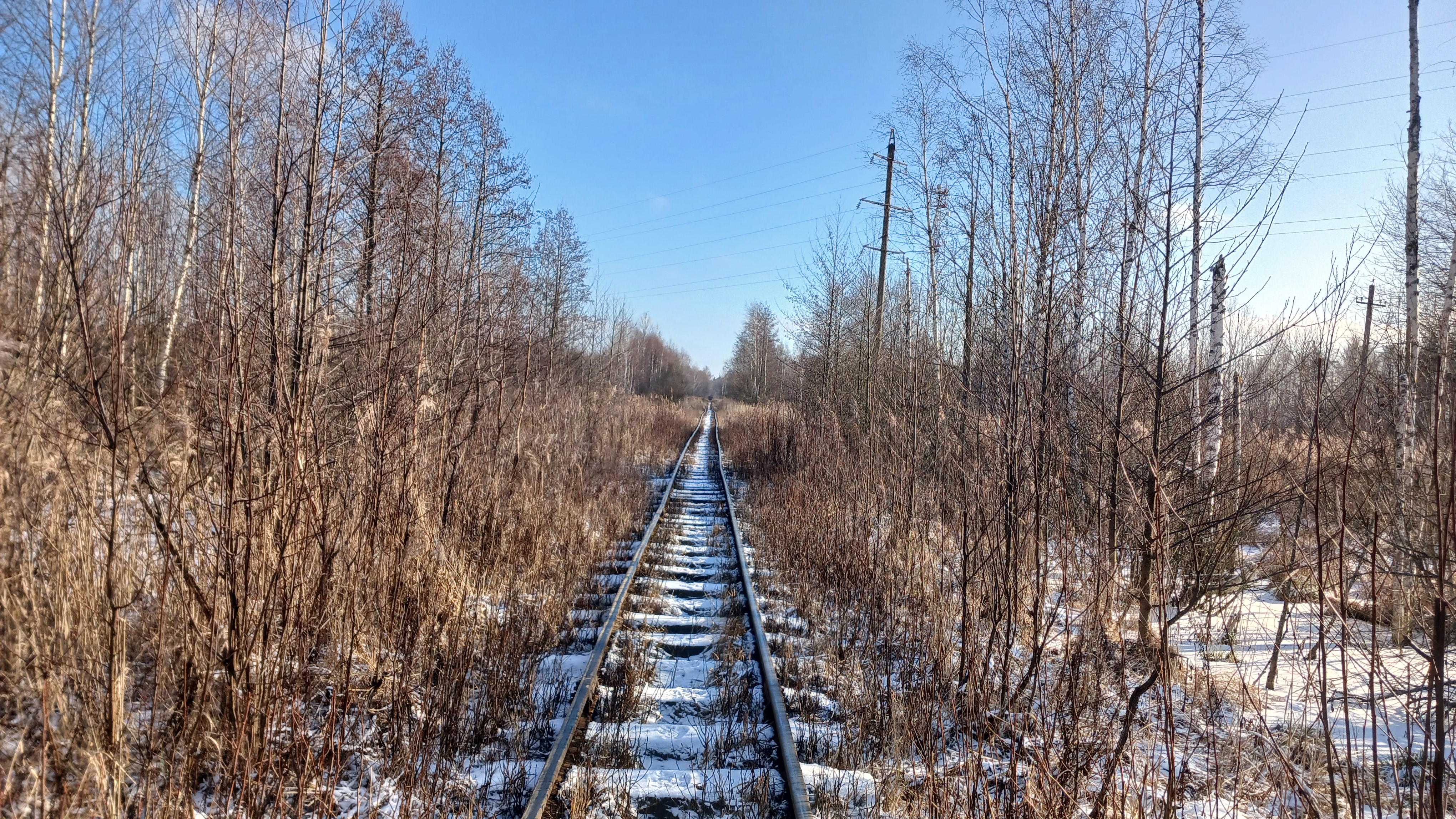 Узкоколейная железная дорога Гусевского предприятия промышленного железнодорожного транспорта — фотографии, сделанные в 2025 году (часть 3)