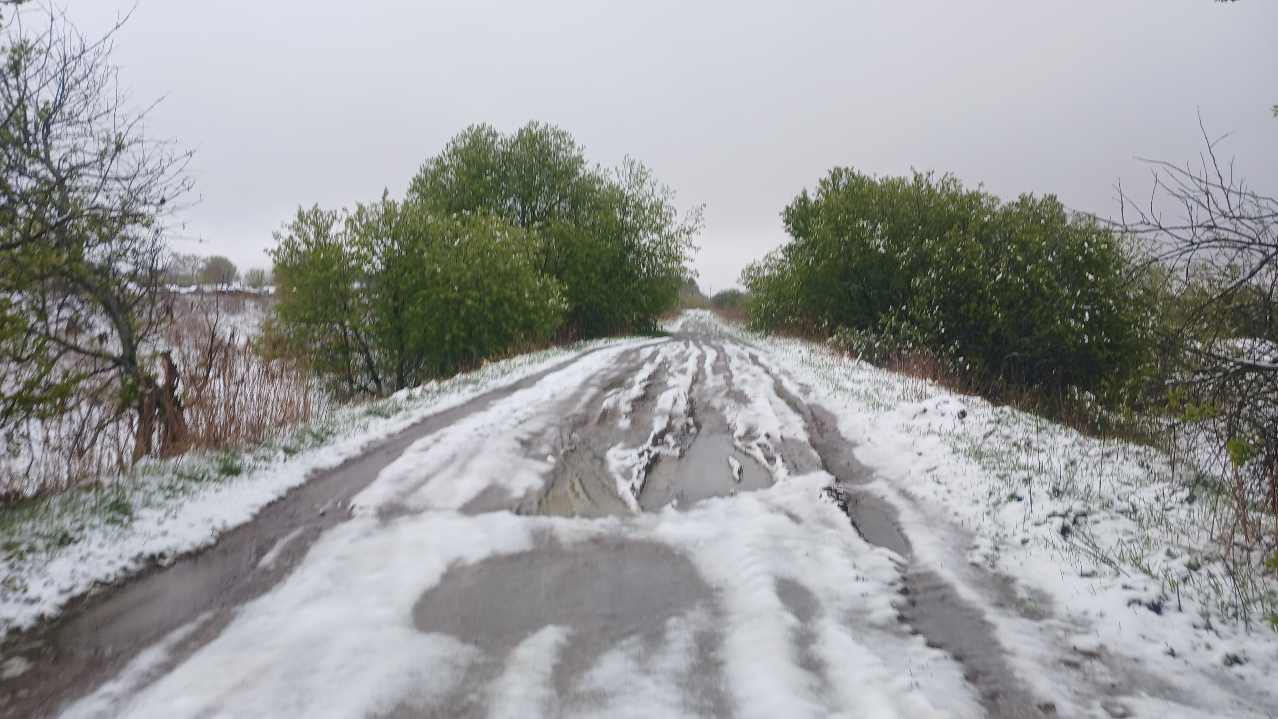Узкоколейная железная дорога Берендеевского торфопредприятия — фотографии, сделанные в 2025 году (часть 3)
