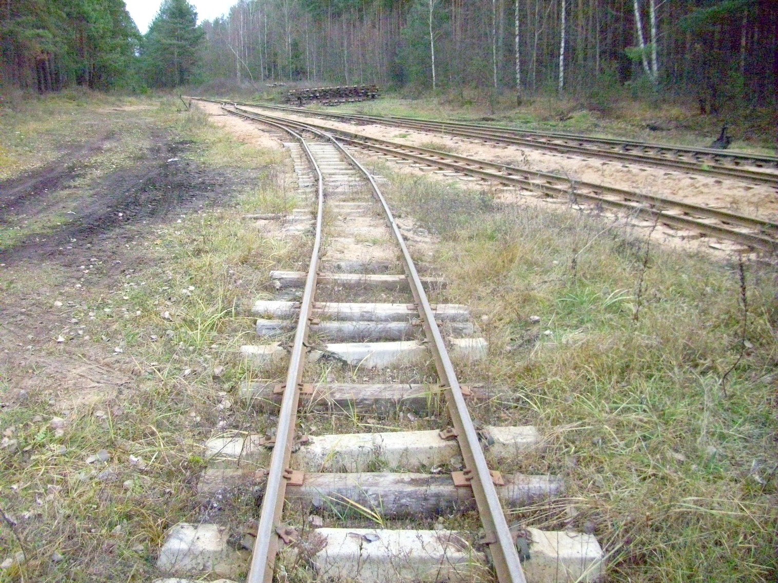 Узкоколейная  железная дорога торфобрикетного завода Березино —  фотографии, сделанные в 2011 году (часть 14)