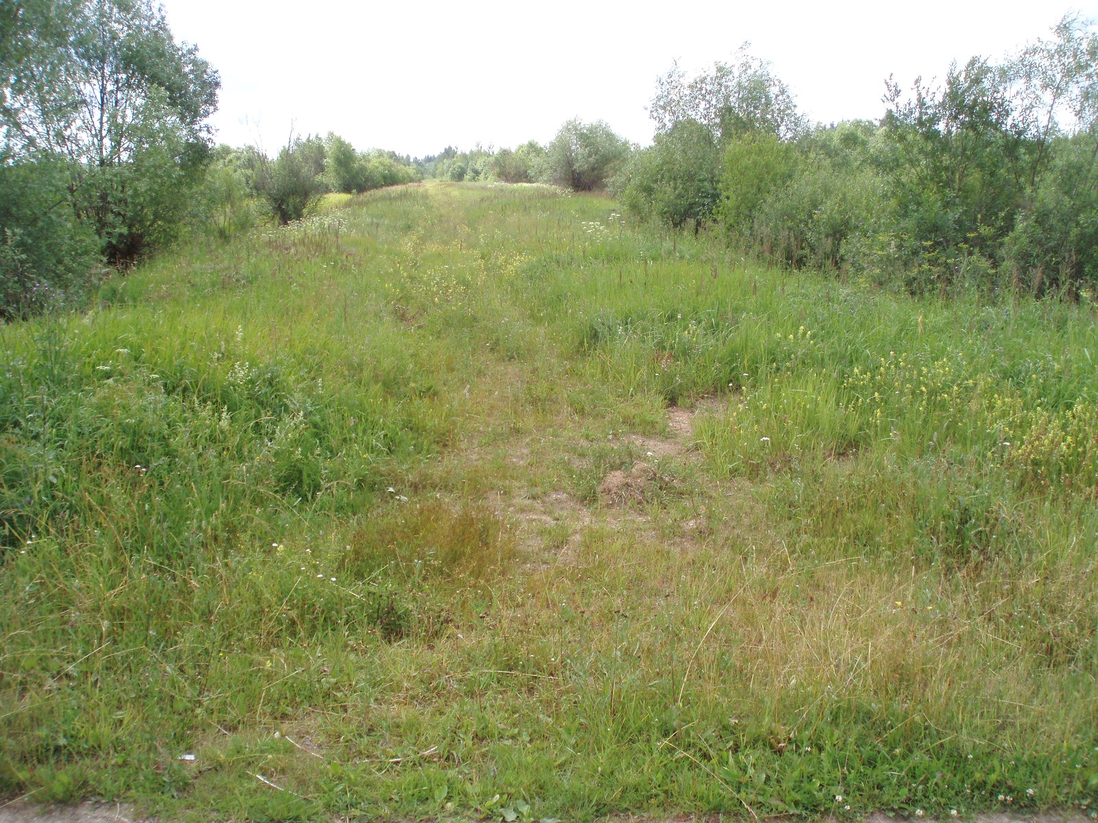 Узкоколейная железная дорога торфопредприятия «Полистовское-2»  — фотографии, сделанные в 2007 году (часть 1)