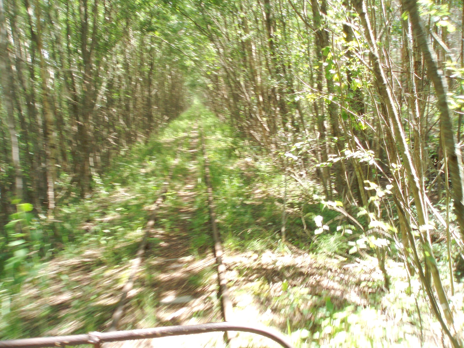 Узкоколейная железная дорога торфопредприятия «Полистовское-2»  — фотографии, сделанные в 2007 году (часть 5)