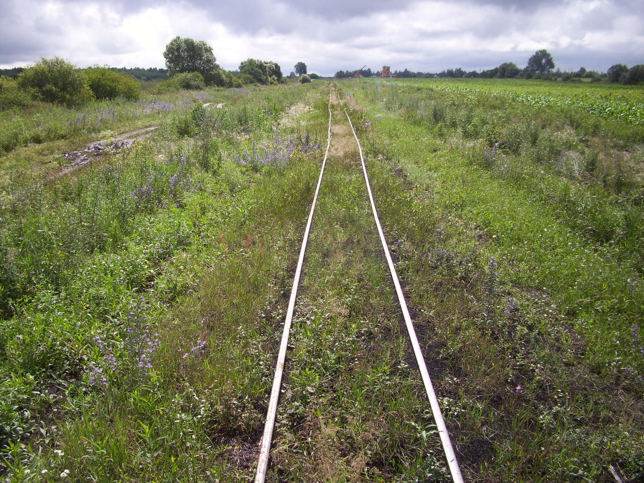 Узкоколейная железная дорога Гатча-Осовского торфопредприятия
  —  фотографии, сделанные в 2011 году (часть 4)