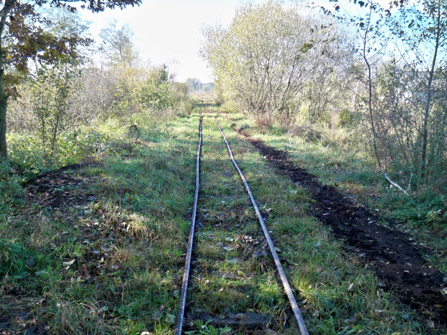 Узкоколейная железная дорога торфопредприятия «Глинка»  в Колодном 
  —  фотографии, сделанные в 2012 году (часть 2)