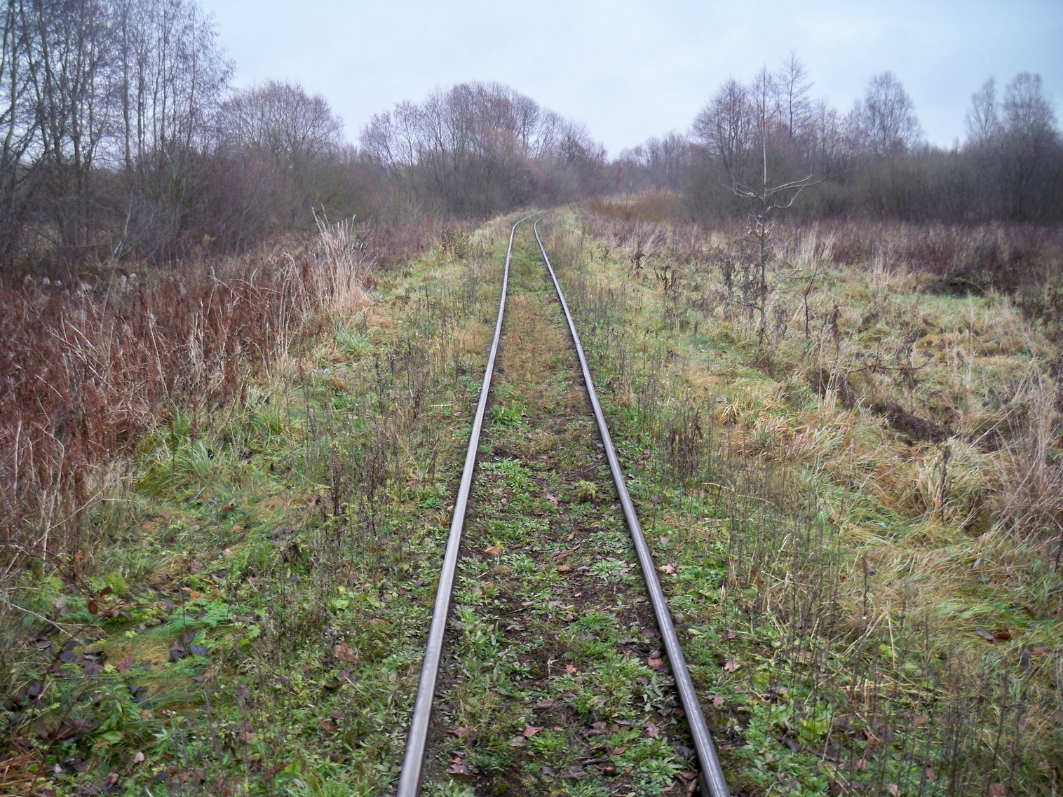 Узкоколейная железная дорога Ошмянского торфопредприятия 
  —  фотографии, сделанные в 2012 году (часть 5)