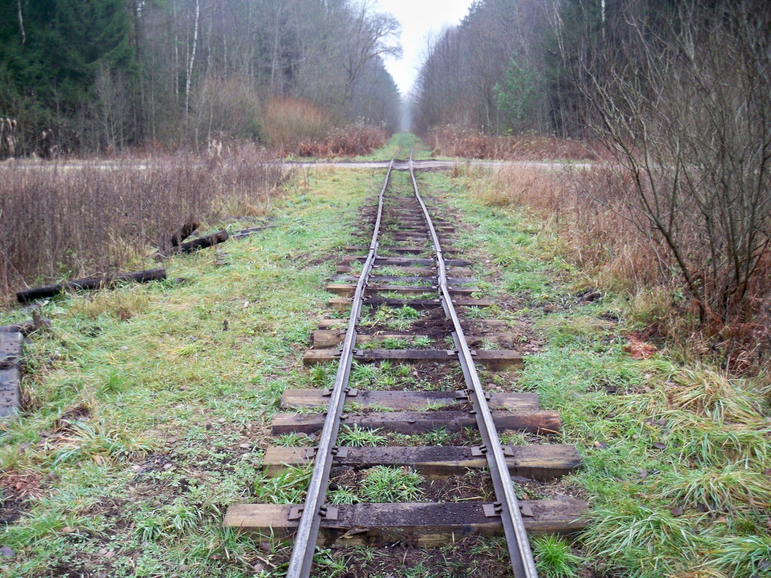 Узкоколейная железная дорога Ошмянского торфопредприятия 
  —  фотографии, сделанные в 2012 году (часть 6)