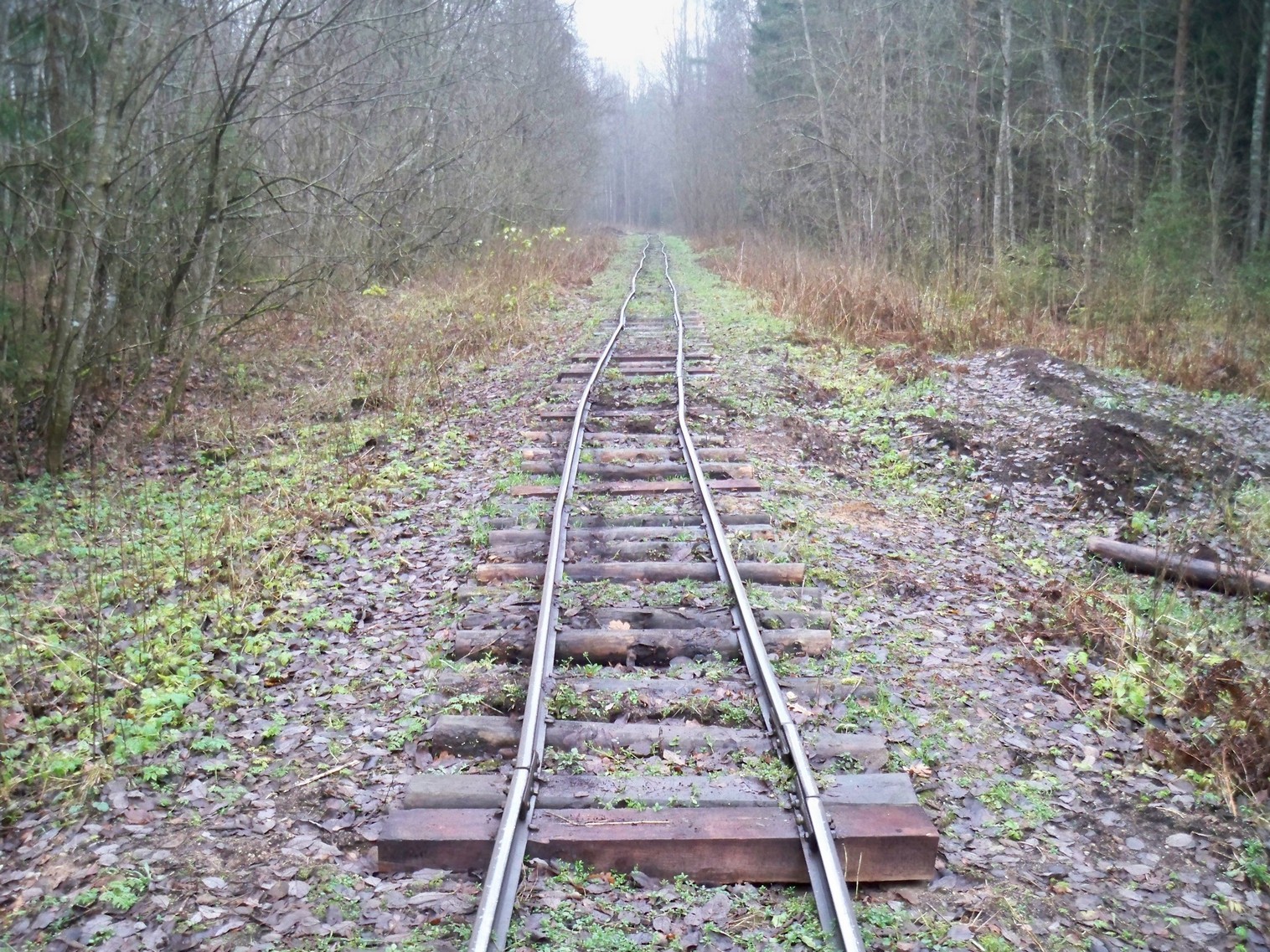 Узкоколейная железная дорога Ошмянского торфопредприятия 
  —  фотографии, сделанные в 2012 году (часть 7)