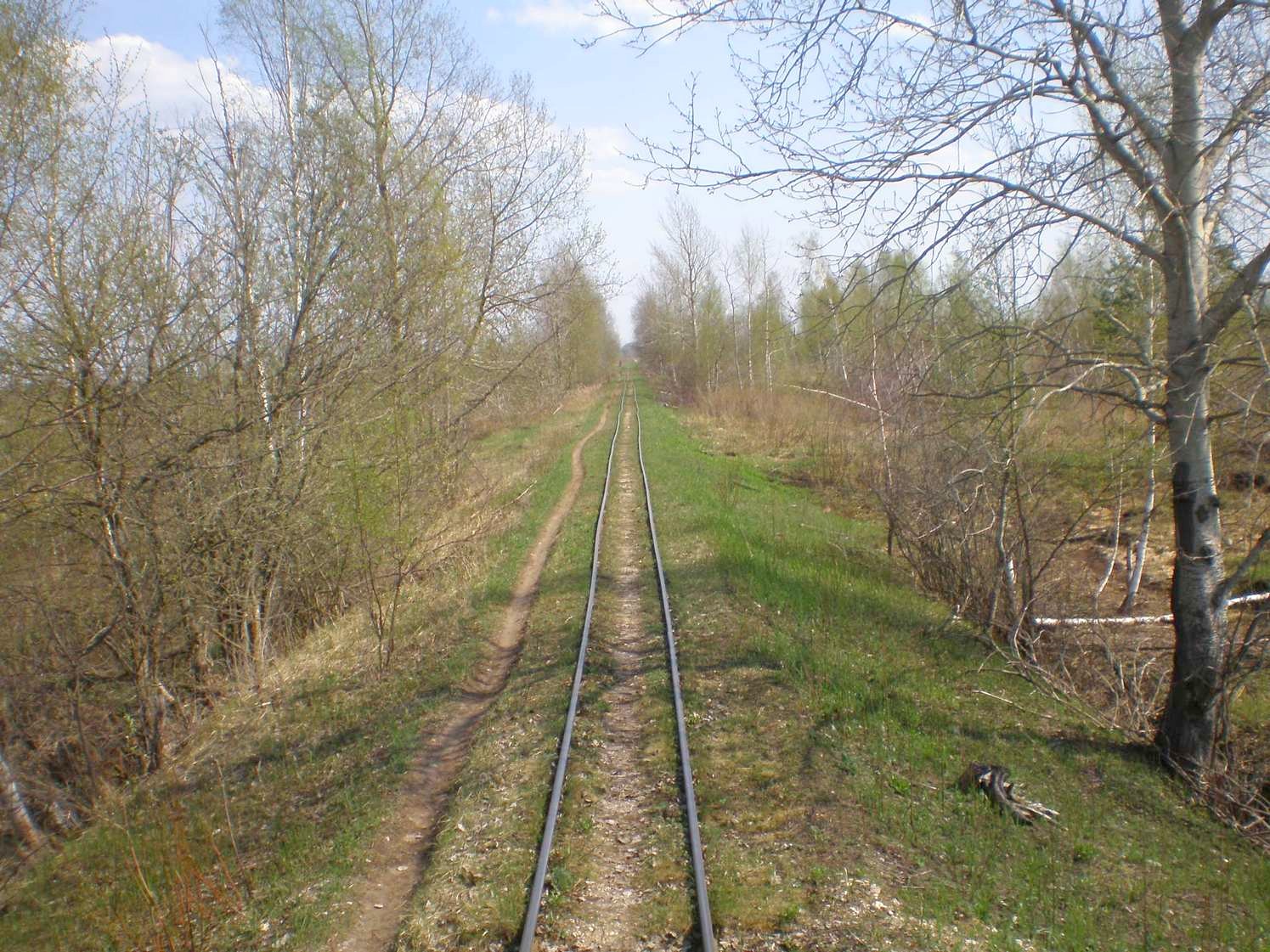 Узкоколейная железная дорога Тёсовского транспортного управления  —  фотографии, сделанные в 2008 году (часть 13)