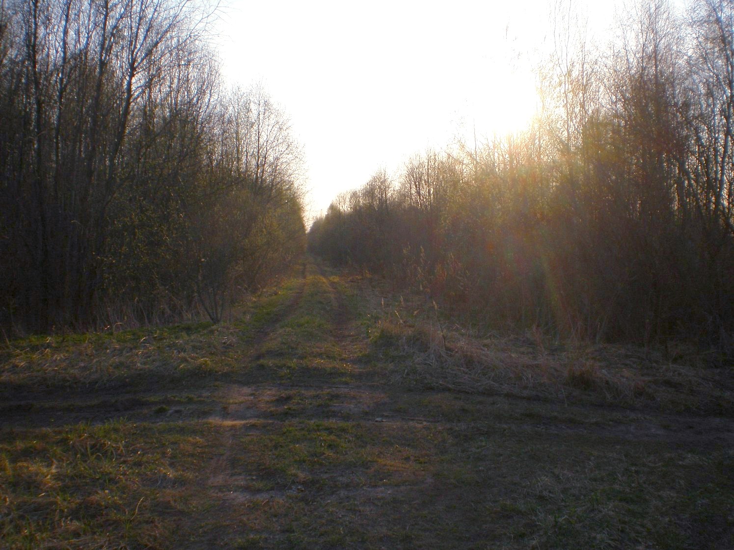 Узкоколейная железная дорога Тёсовского транспортного управления  —  фотографии, сделанные в 2008 году (часть 5)