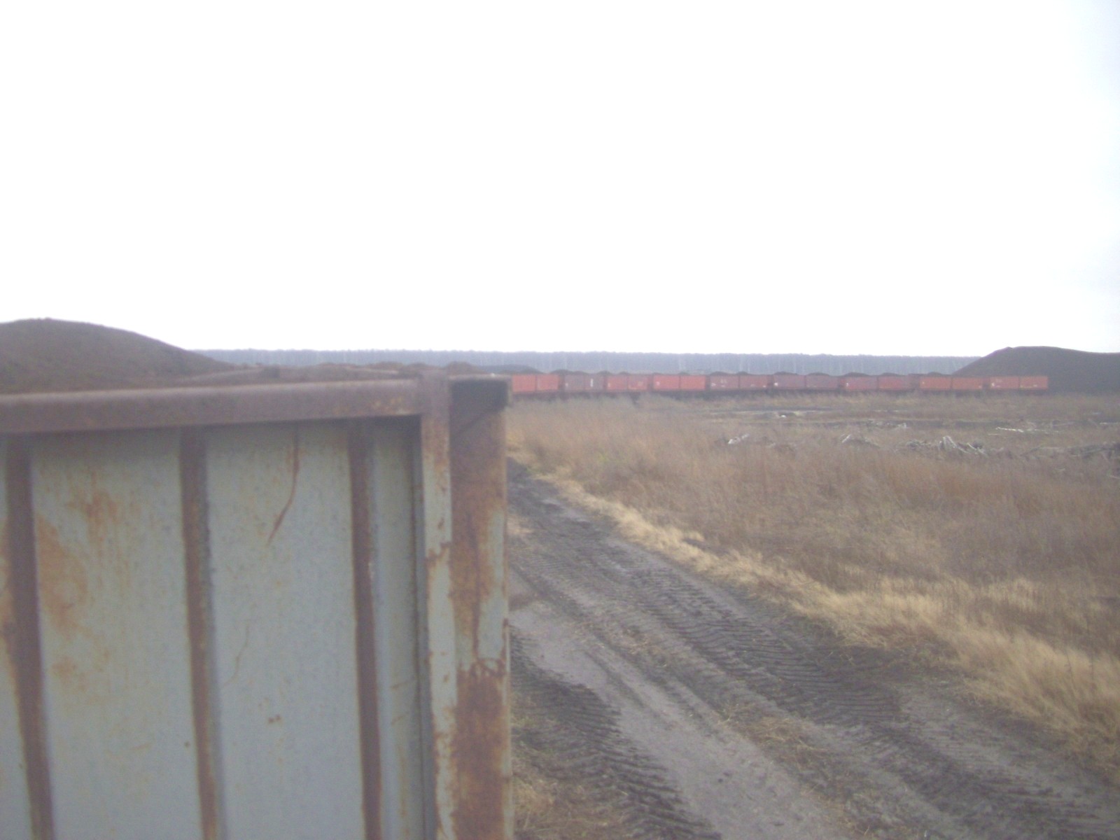 Узкоколейная железная дорога Ляховичского торфопредприятия
  —  фотографии, сделанные в 2011 году (часть 4)