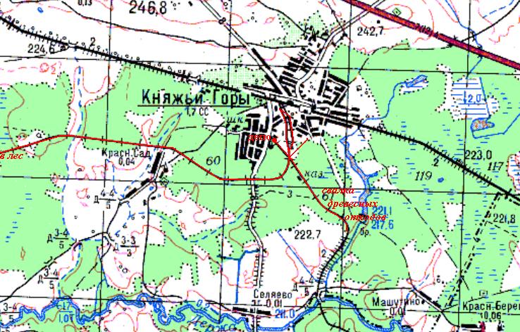 Княжегорская узкоколейная железная дорога
