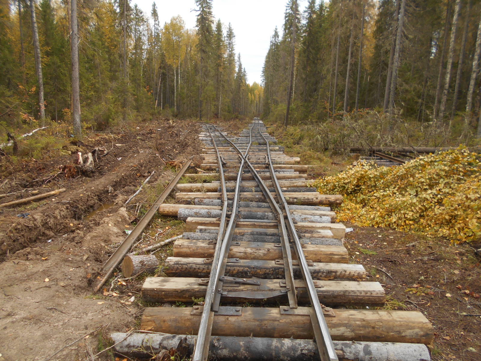 Узкоколейная железная дорога в окрестностях посёлка Коржа
  —  фотографии, сделанные в 2018 году (часть 4)