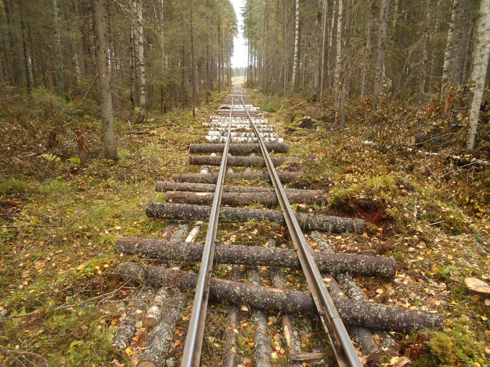 Узкоколейная железная дорога в окрестностях посёлка Коржа
  —  фотографии, сделанные в 2018 году (часть 6)