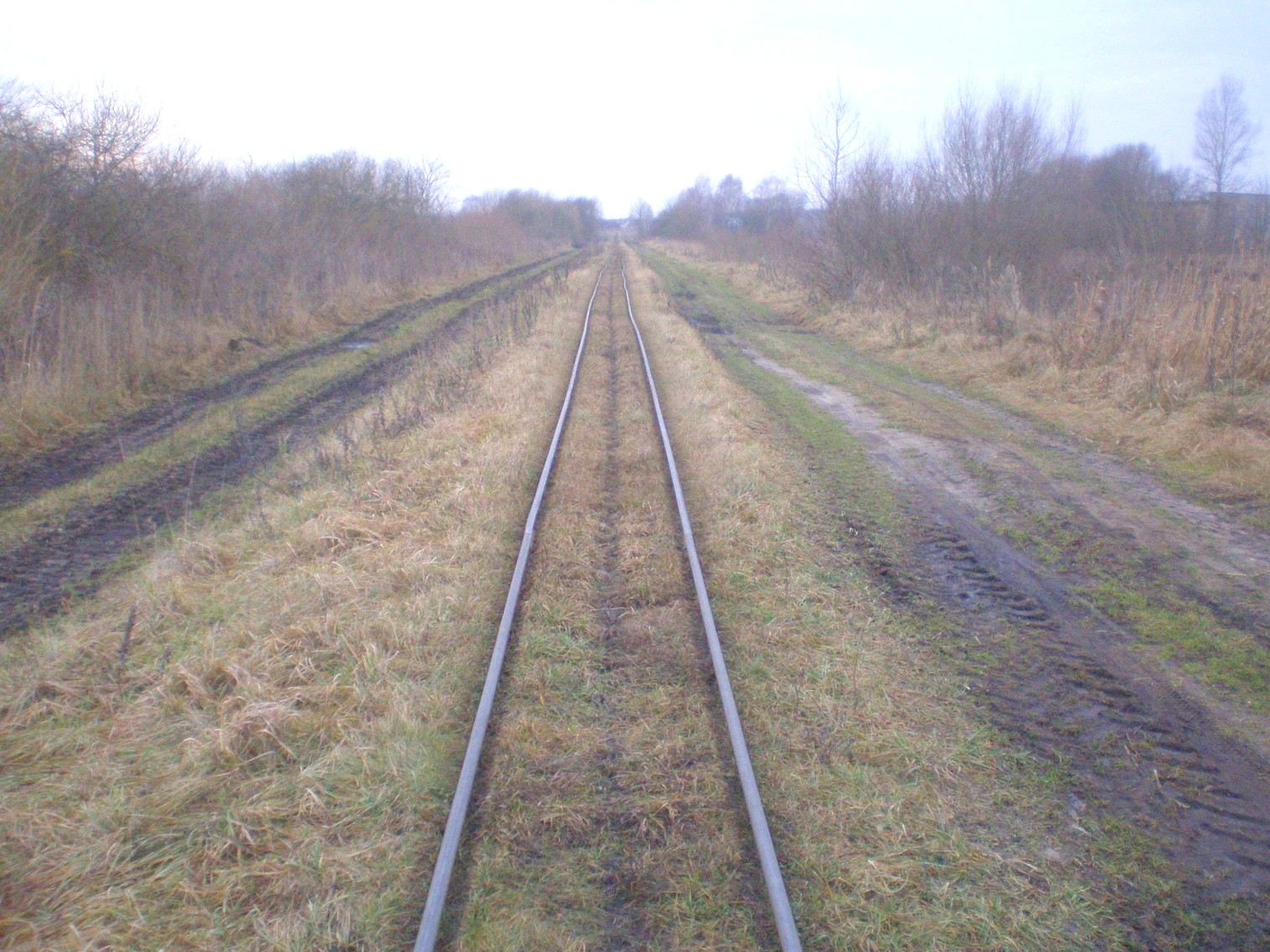 Узкоколейная  железная дорога Лидского торфопредприятия   —  фотографии, сделанные в 2008 году (часть 13)
