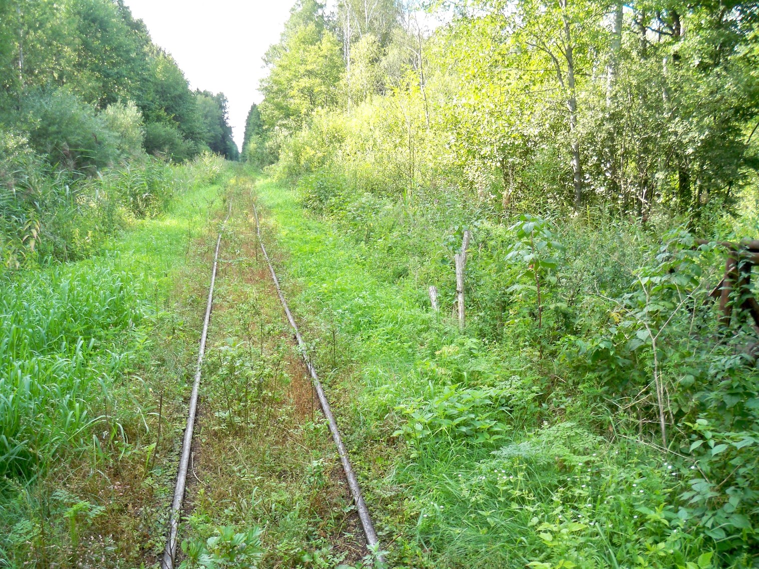 Узкоколейная  железная дорога Нёманского торфопредприятия  —  фотографии, сделанные в 2013 году (часть 17)