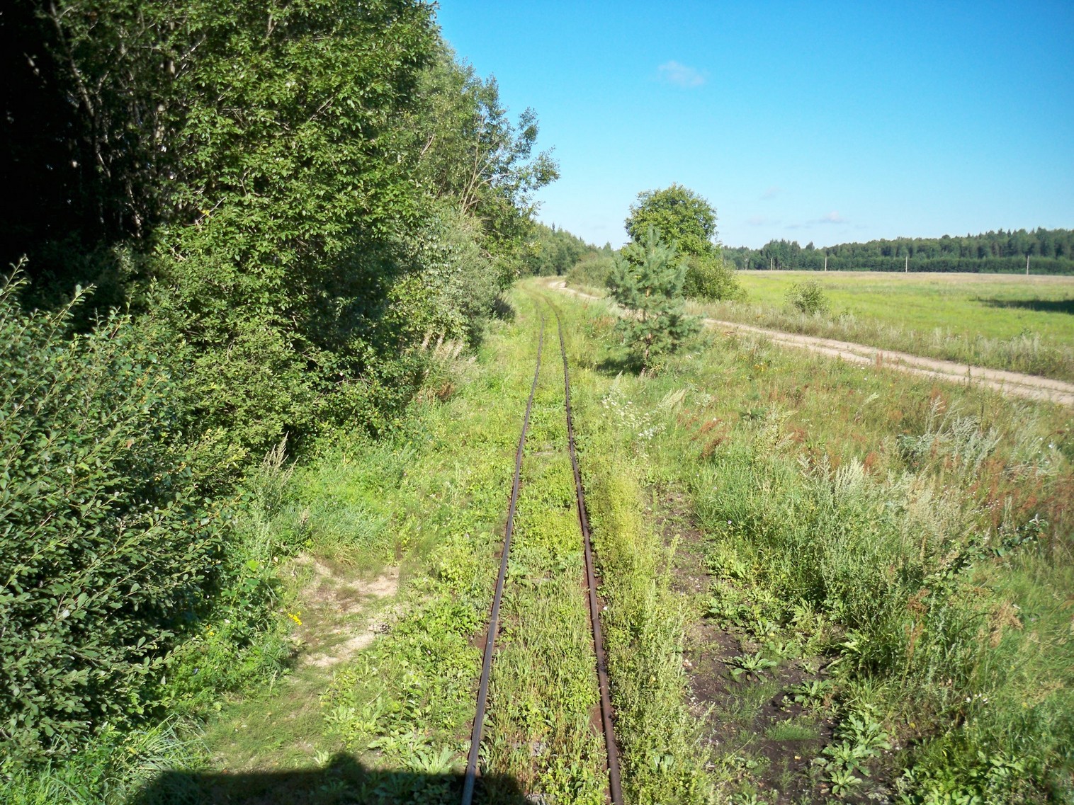 Узкоколейная  железная дорога Нёманского торфопредприятия  —  фотографии, сделанные в 2013 году (часть 4)