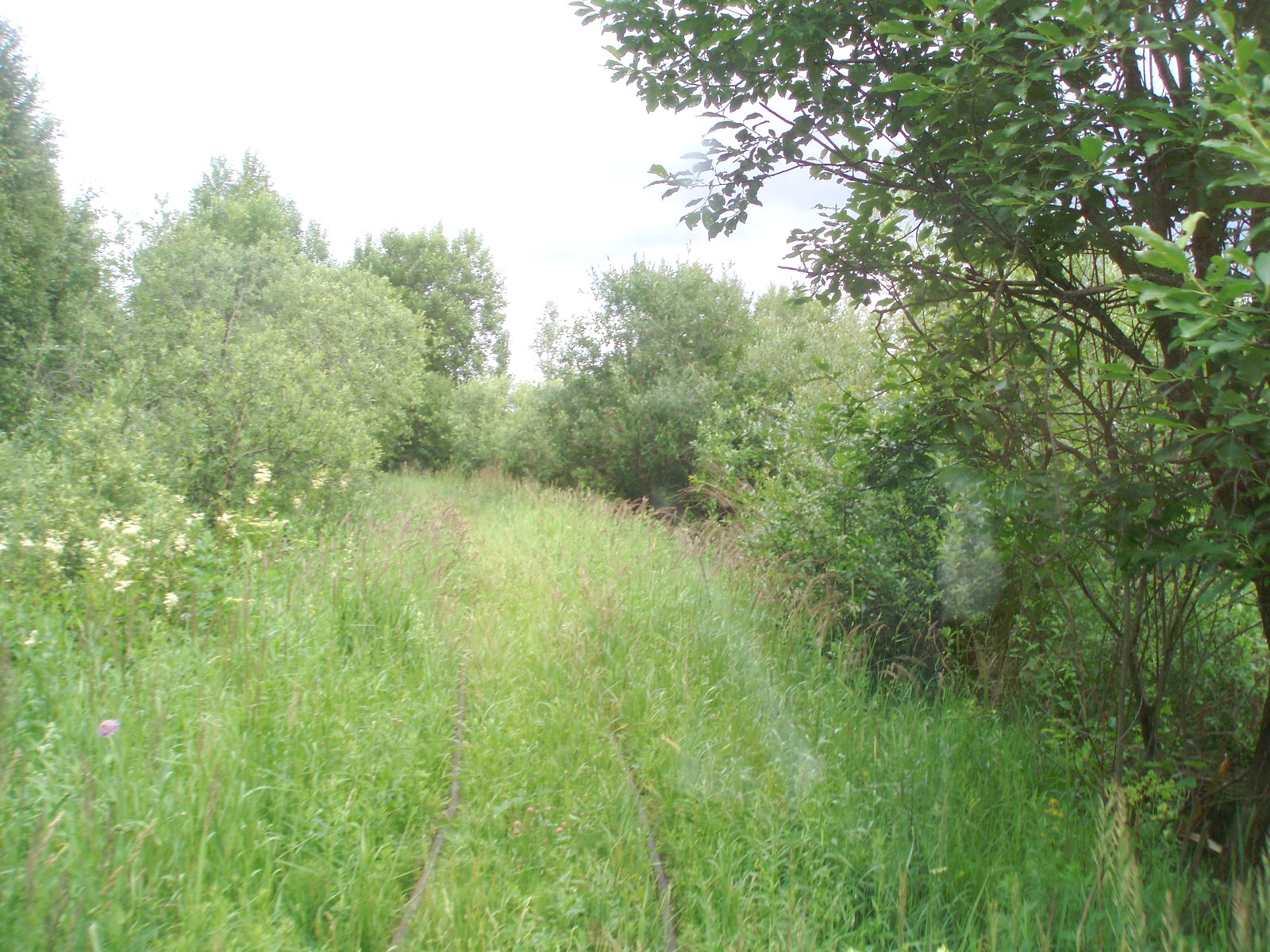 Узкоколейная железная дорога торфопредприятия «Полистовское-1»  — фотографии, сделанные в 2007 году (часть 6)