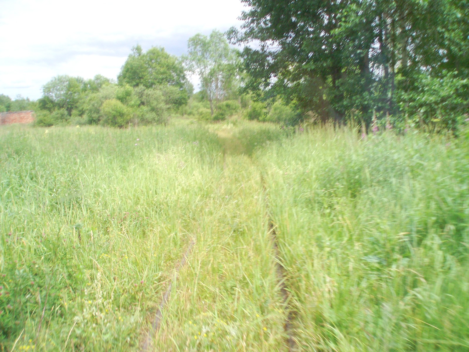 Узкоколейная железная дорога торфопредприятия «Полистовское-1»  — фотографии, сделанные в 2007 году (часть 8)