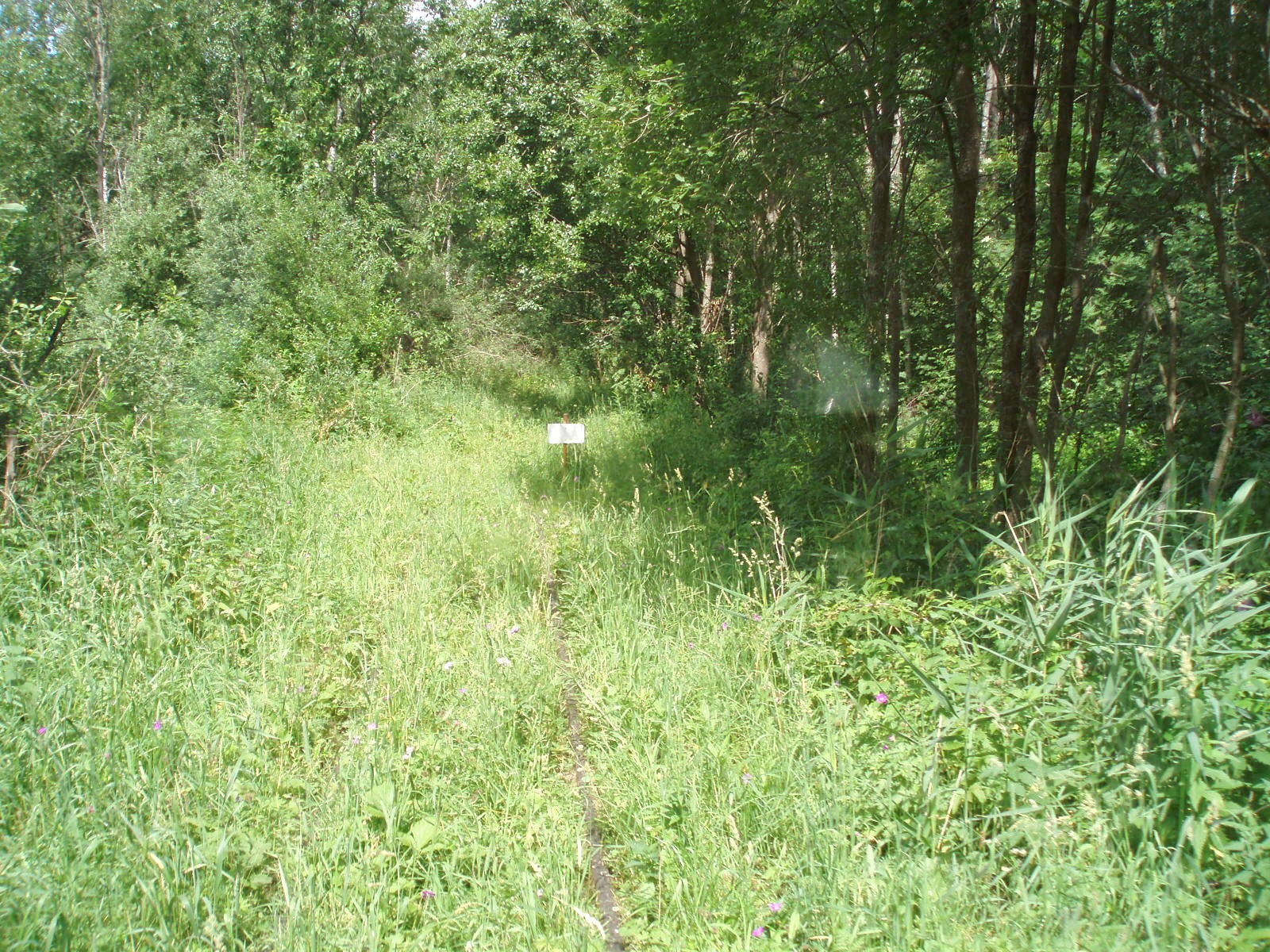 Узкоколейная железная дорога торфопредприятия «Полистовское-1»  — фотографии, сделанные в 2007 году (часть 9)