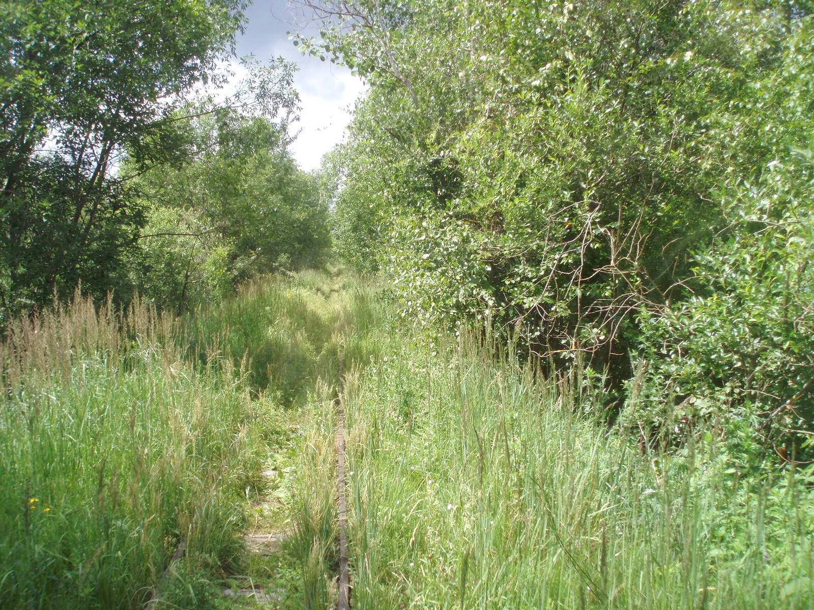 Узкоколейная железная дорога торфопредприятия «Полистовское-1»  — фотографии, сделанные в 2007 году (часть 4)