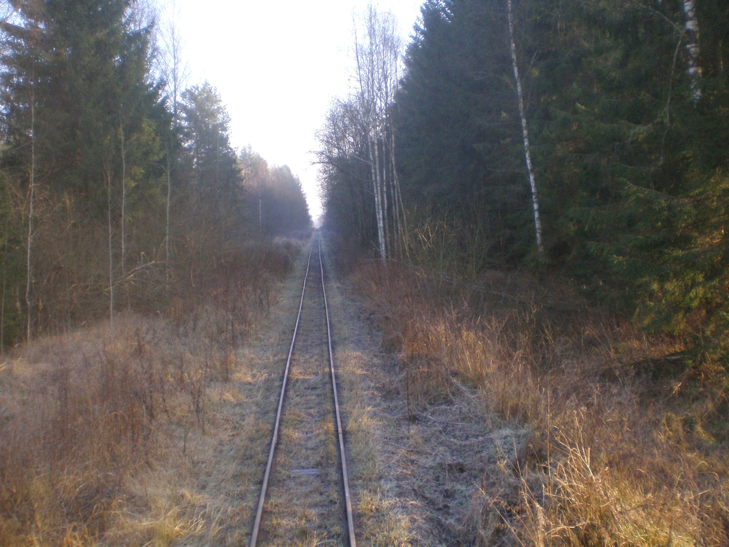 Узкоколейная железная дорога торфопредприятия «Вертелишки» — фотографии, сделанные в 2008 году (часть 12)