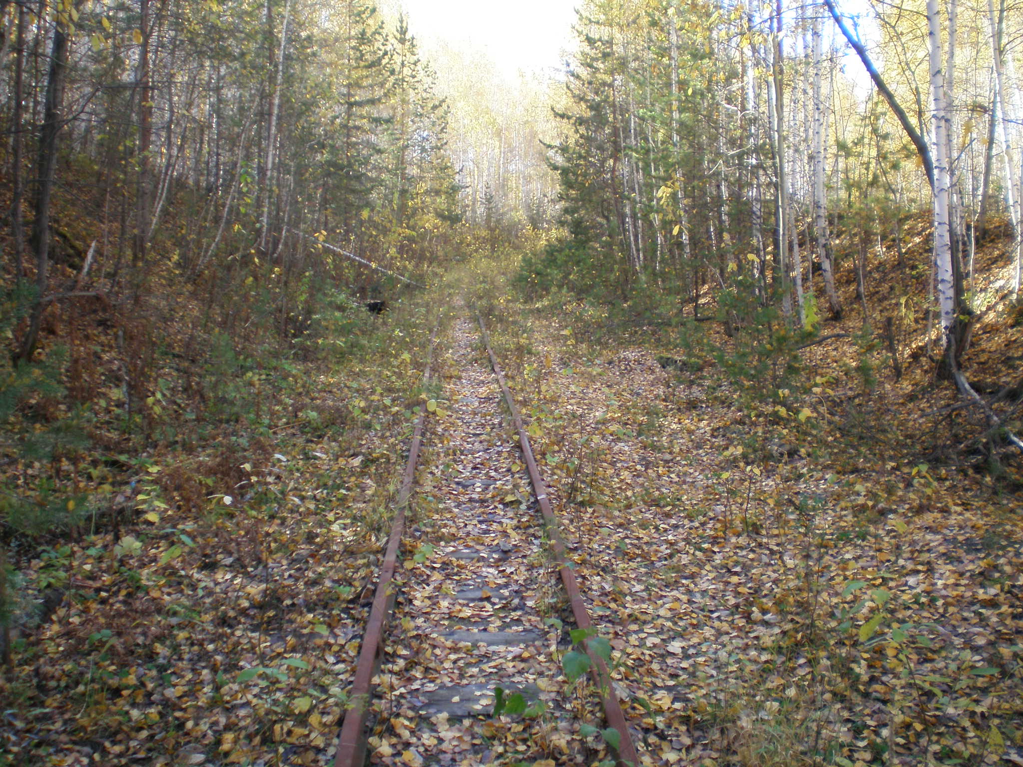 Узкоколейная железная дорога Шабровского талькового комбината — фотографии, сделанные в 2007 году (часть 4)