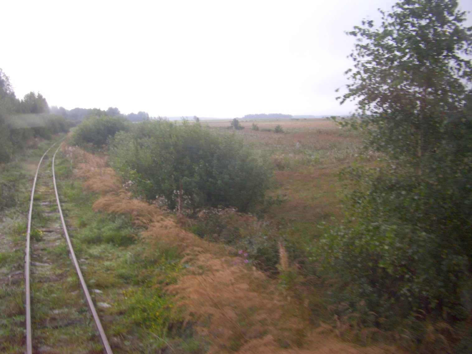 Аукштайтская узкоколейная железная дорога 
  —  фотографии, сделанные в 2012 году (часть 6)