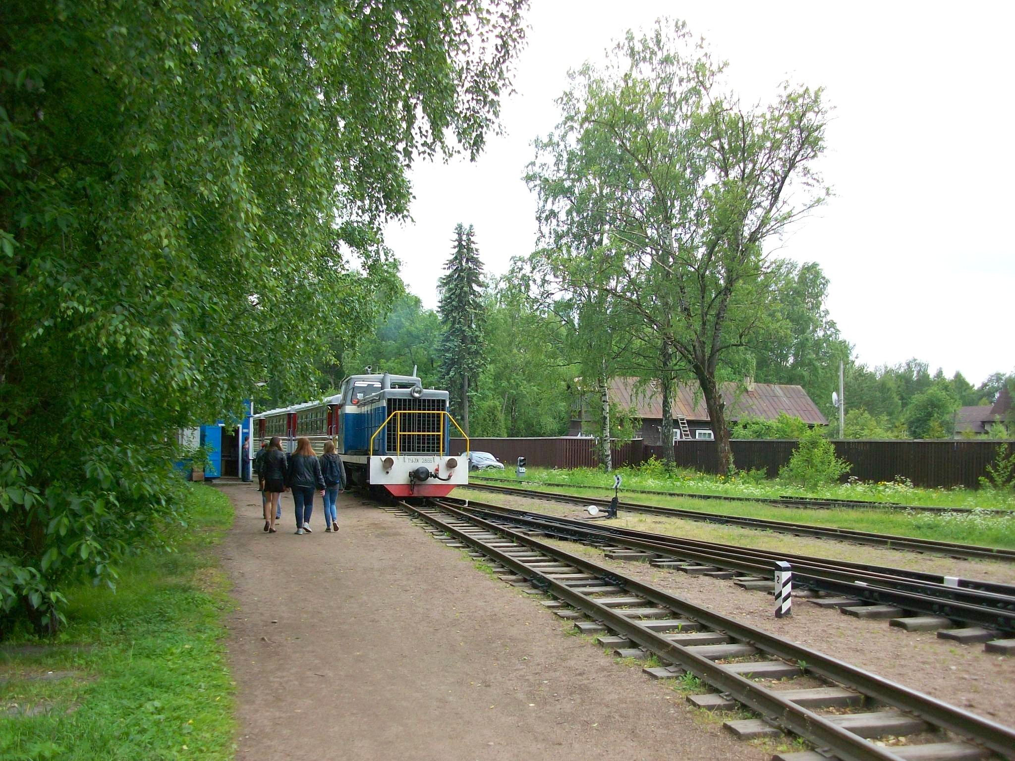 Малая Октябрьская детская железная дорога — фотографии, сделанные в 2015 году (часть 2)