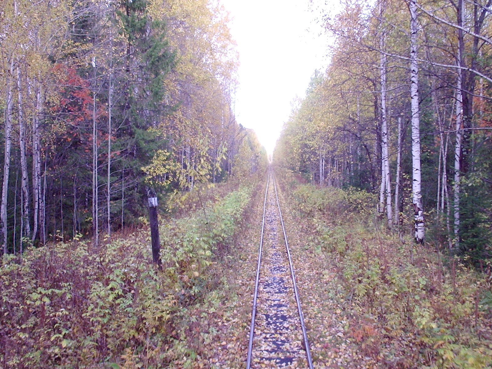Висимо-Уткинская узкоколейная железная дорога  - фотографии, сделанные в 2006 году (часть 8)
