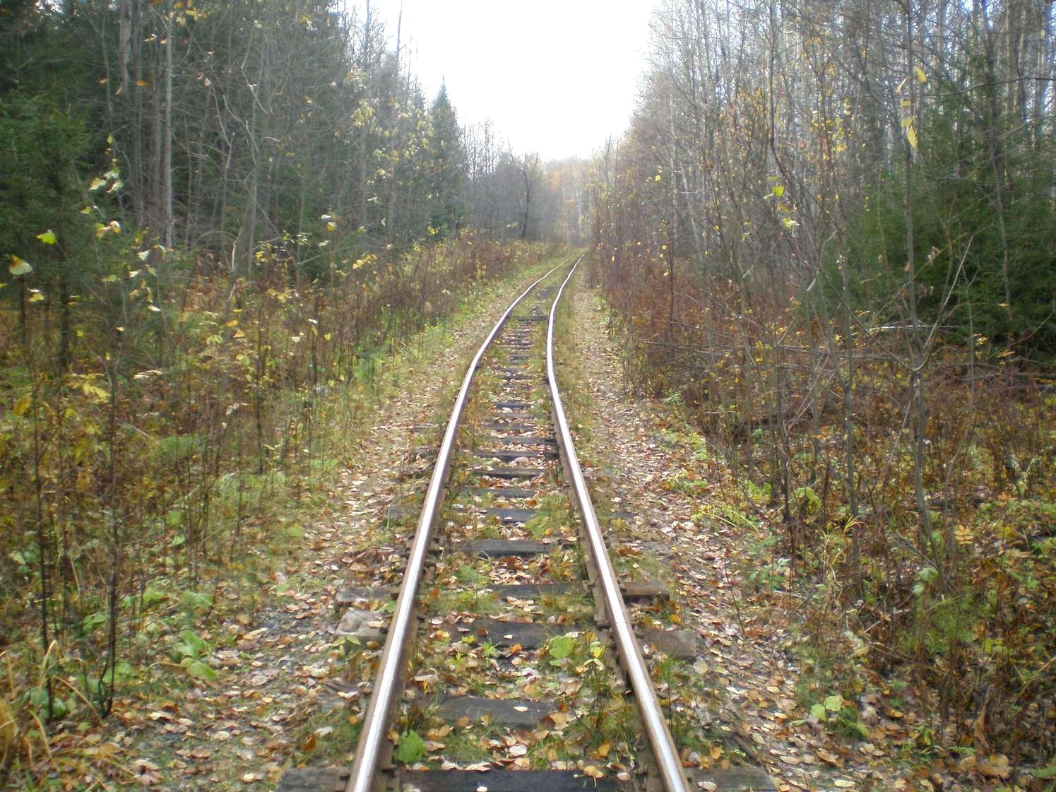Висимо-Уткинская узкоколейная железная дорога  — фотографии, сделанные в 2007 году (часть 5)