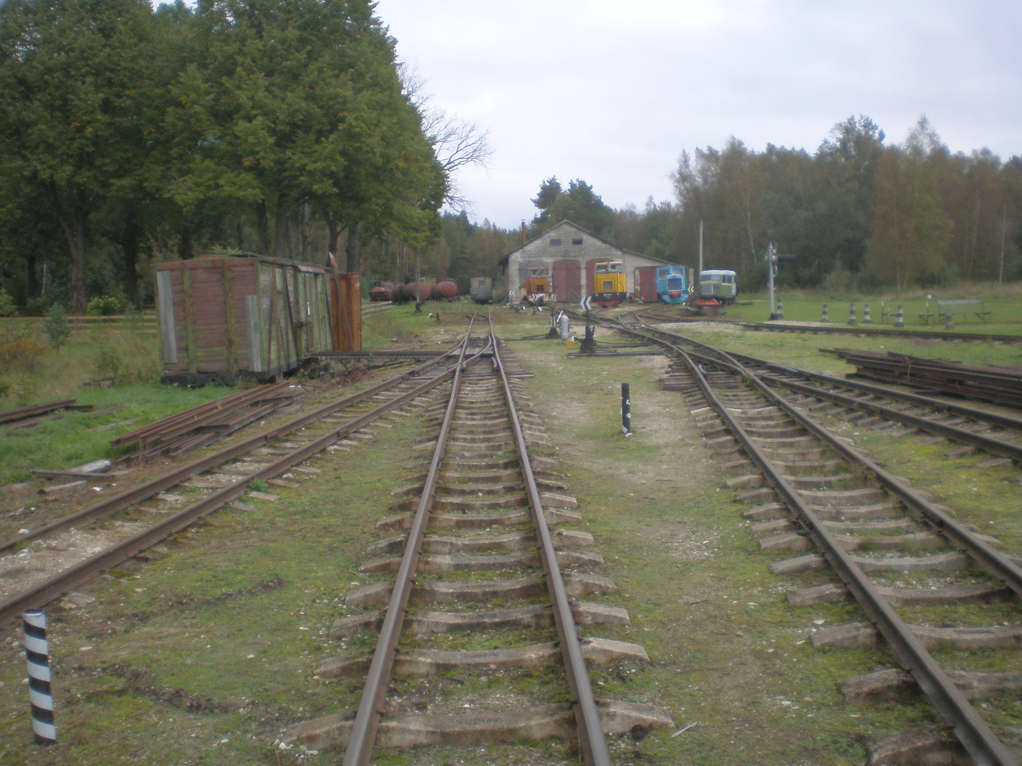 Узкоколейная железная дорога Тоотси — Лавассааре — фотографии, сделанные в 2008 году (часть 7)