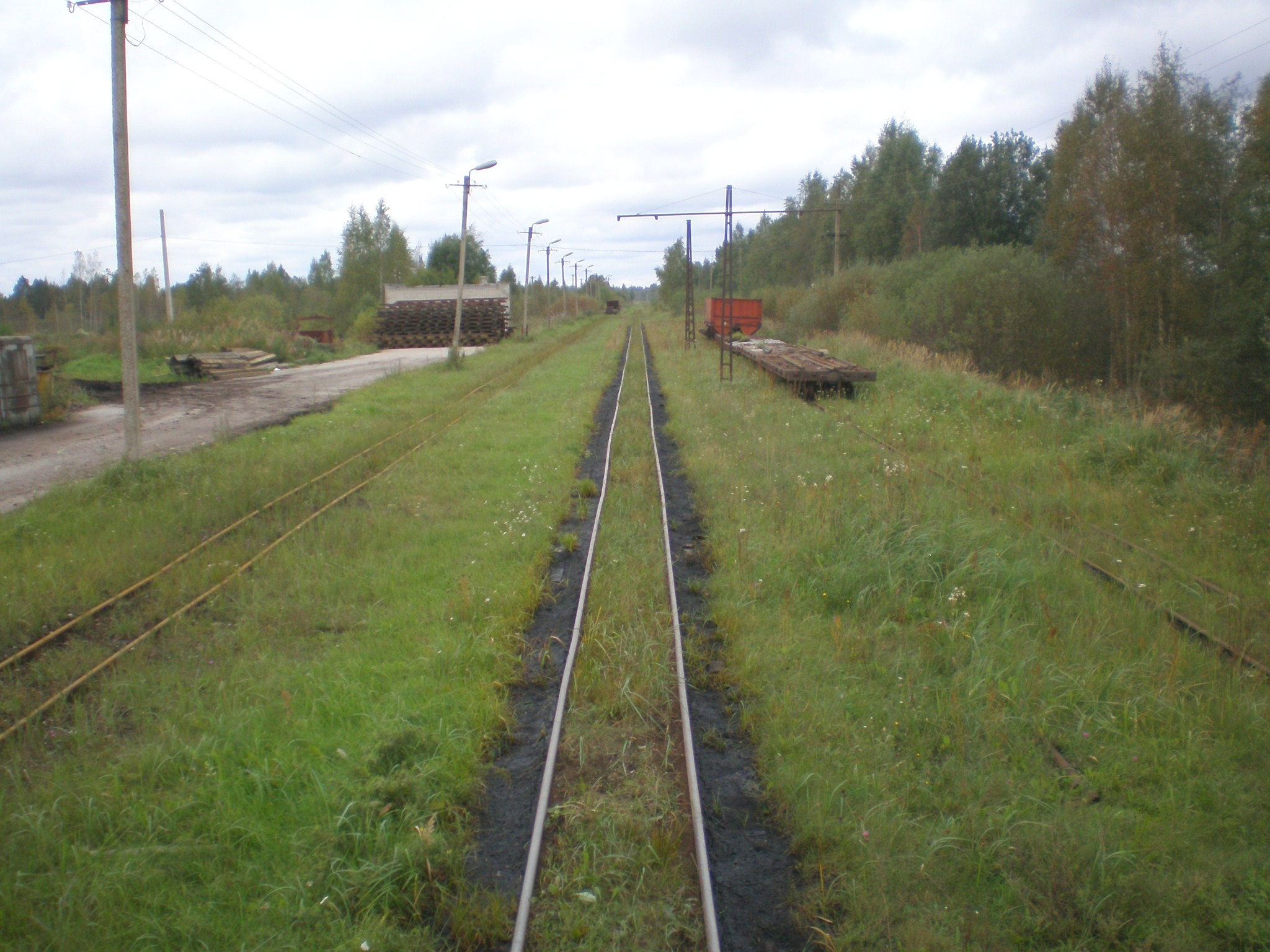 Узкоколейная железная дорога Тоотси — Лавассааре — фотографии, сделанные в 2008 году (часть 21)