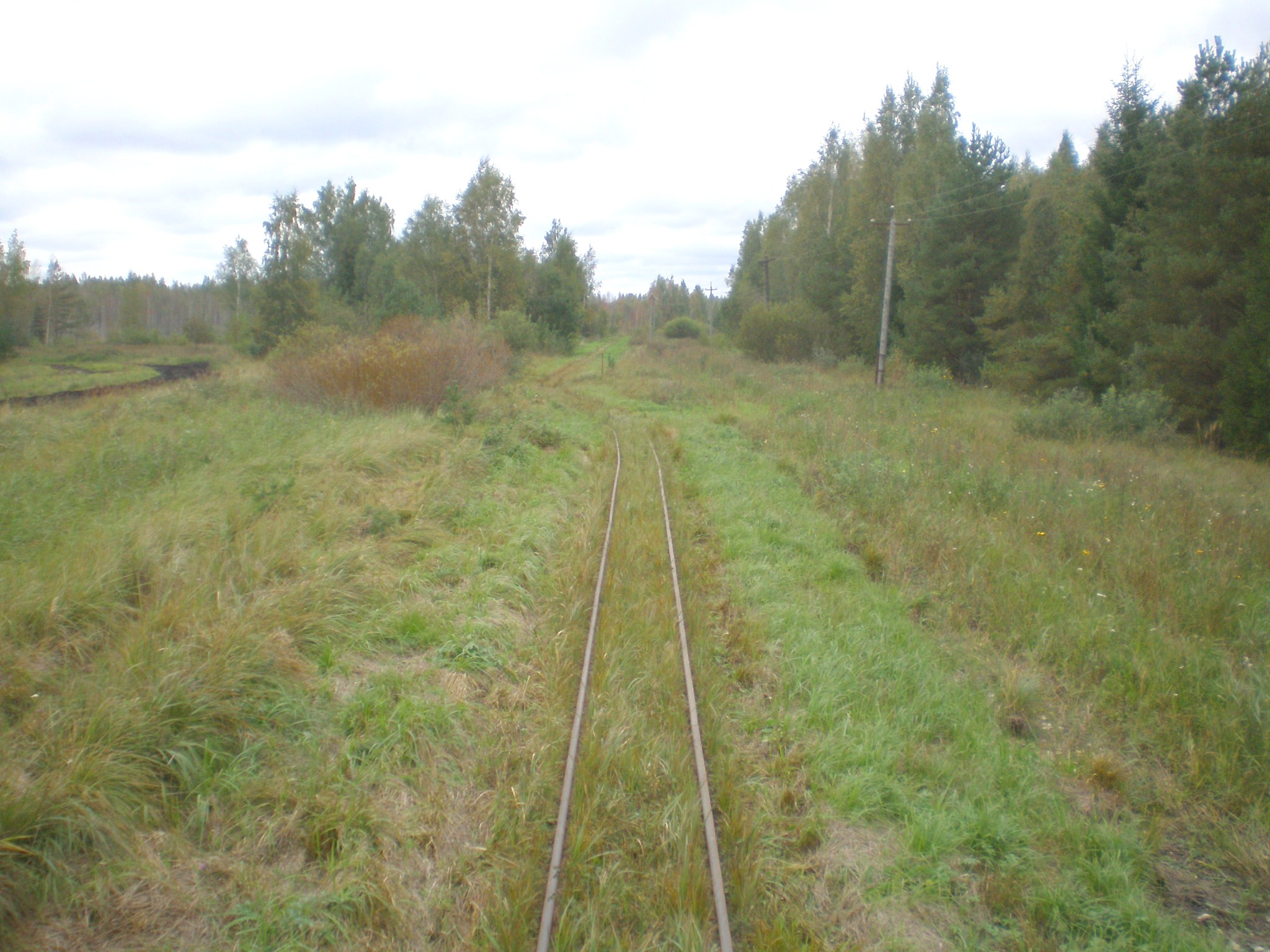 Узкоколейная железная дорога Тоотси — Лавассааре — фотографии, сделанные в 2008 году (часть 22)