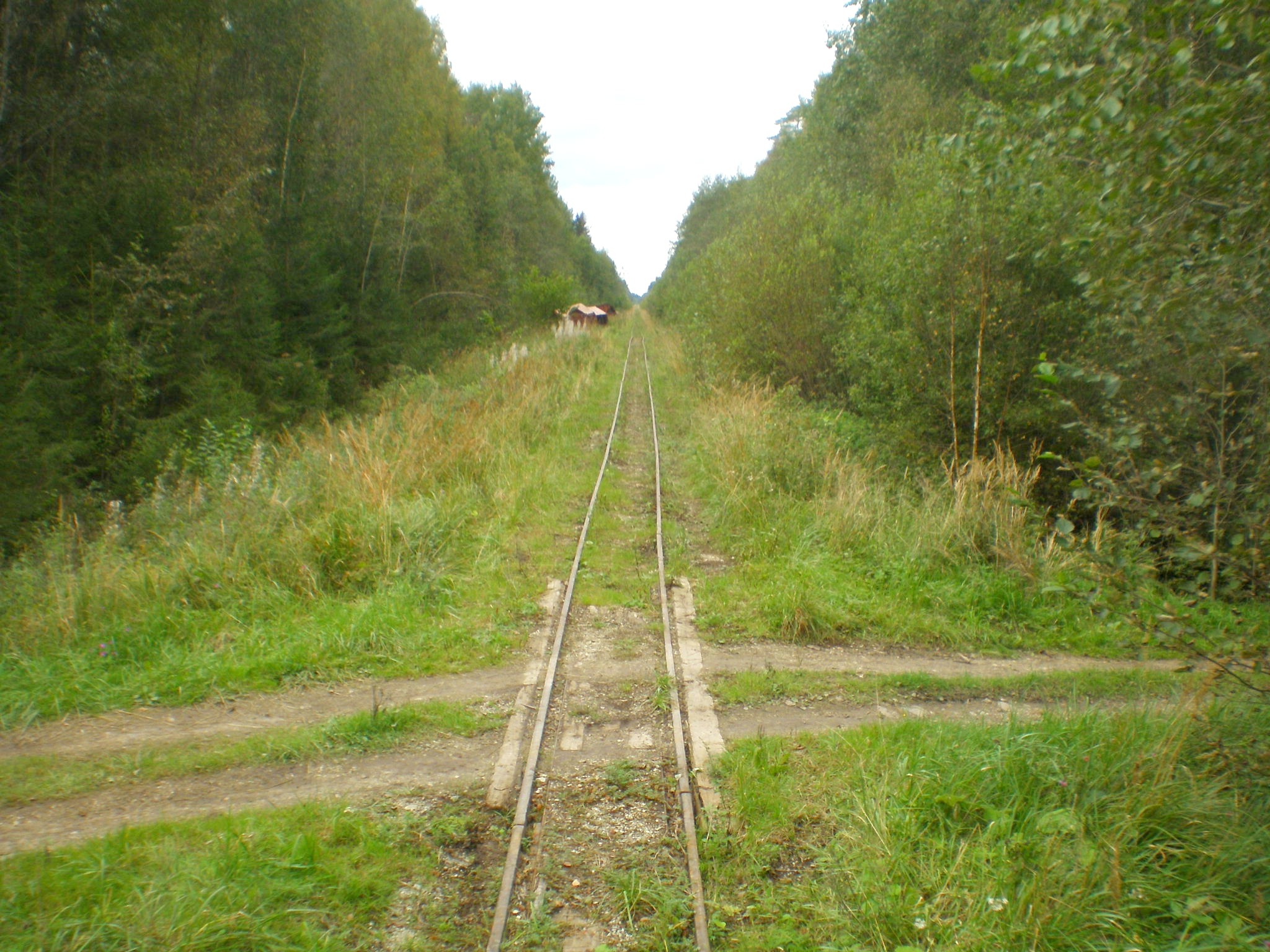 Узкоколейная железная дорога Тоотси — Лавассааре — фотографии, сделанные в 2008 году (часть 25)