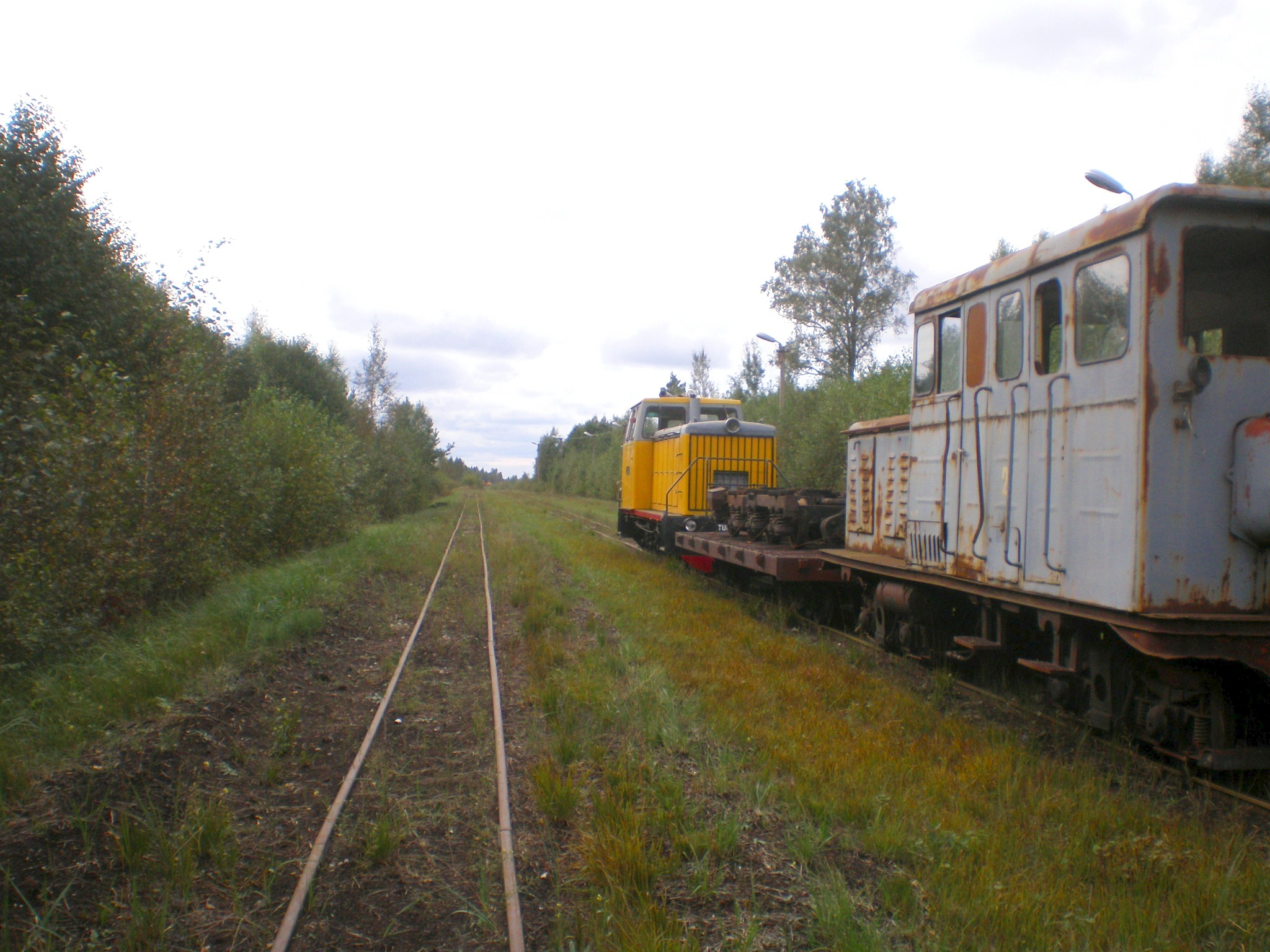 Узкоколейная железная дорога Тоотси — Лавассааре — фотографии, сделанные в 2008 году (часть 29)