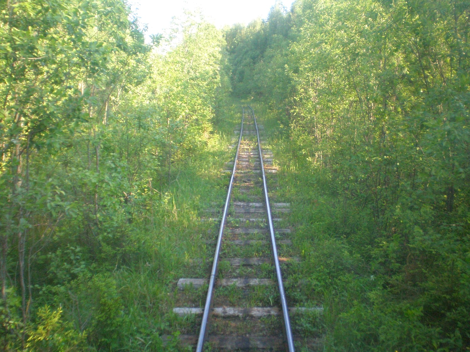 Ивакшанская узкоколейная железная дорога — фотографии, сделанные в 2009 году (часть 7)