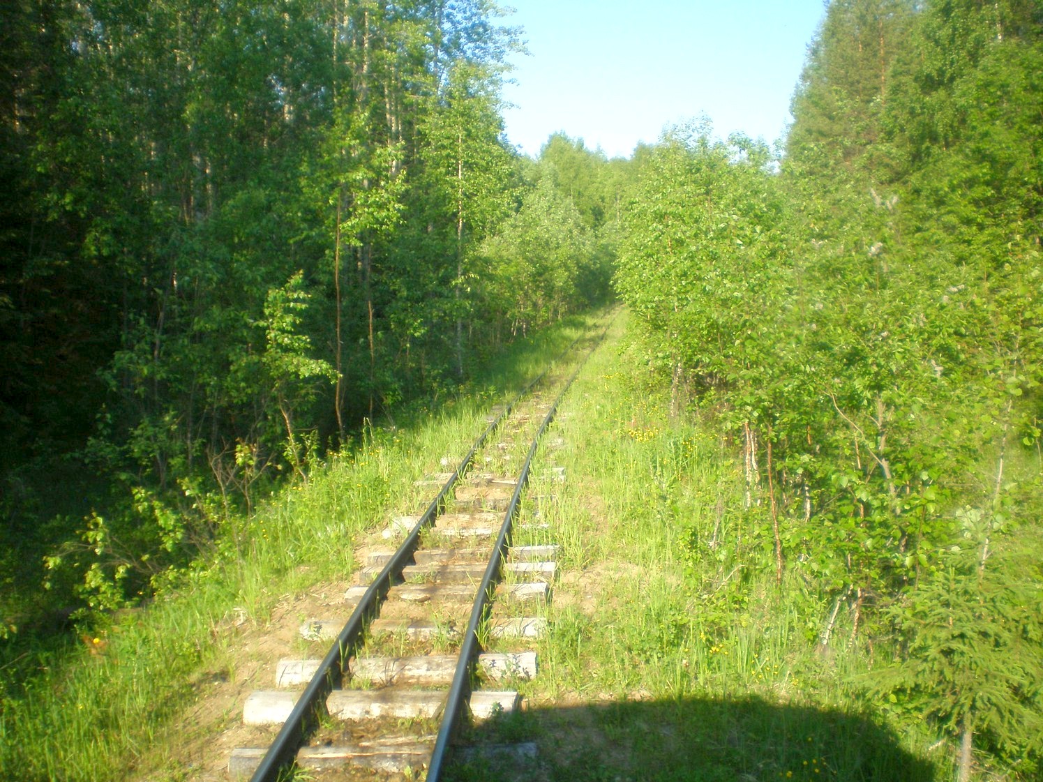 Ивакшанская узкоколейная железная дорога — фотографии, сделанные в 2009 году (часть 8)
