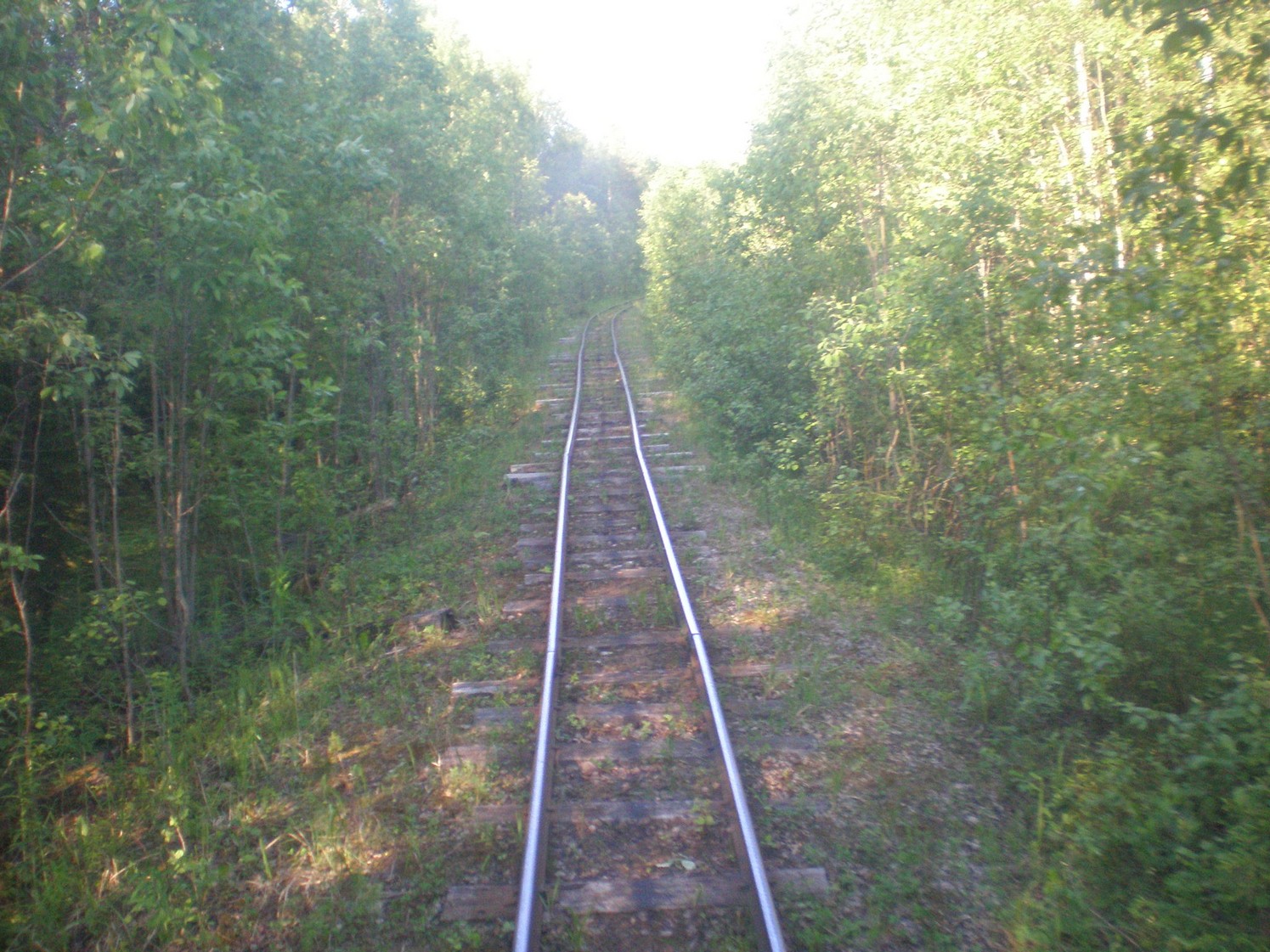 Ивакшанская узкоколейная железная дорога — фотографии, сделанные в 2009 году (часть 9)