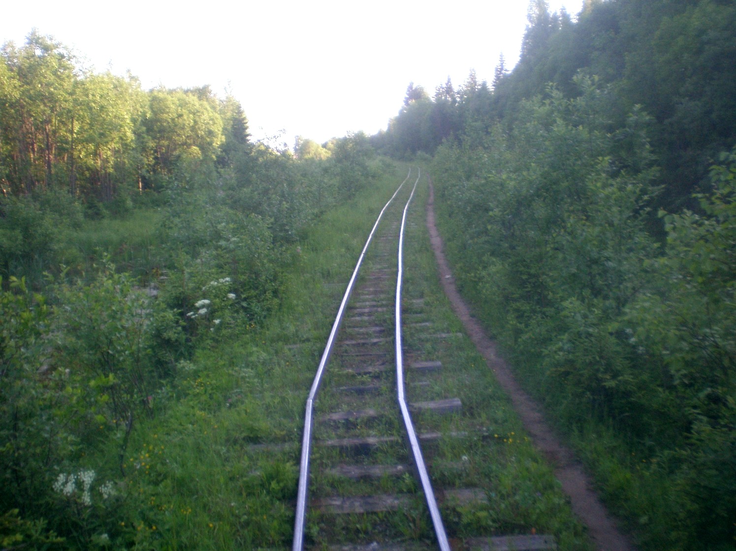 Ивакшанская узкоколейная железная дорога — фотографии, сделанные в 2009 году (часть 2)