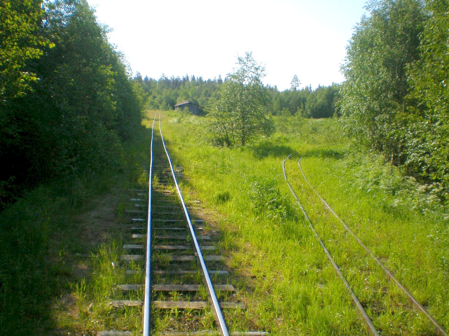 Ивакшанская узкоколейная железная дорога — фотографии, сделанные в 2009 году (часть 12)