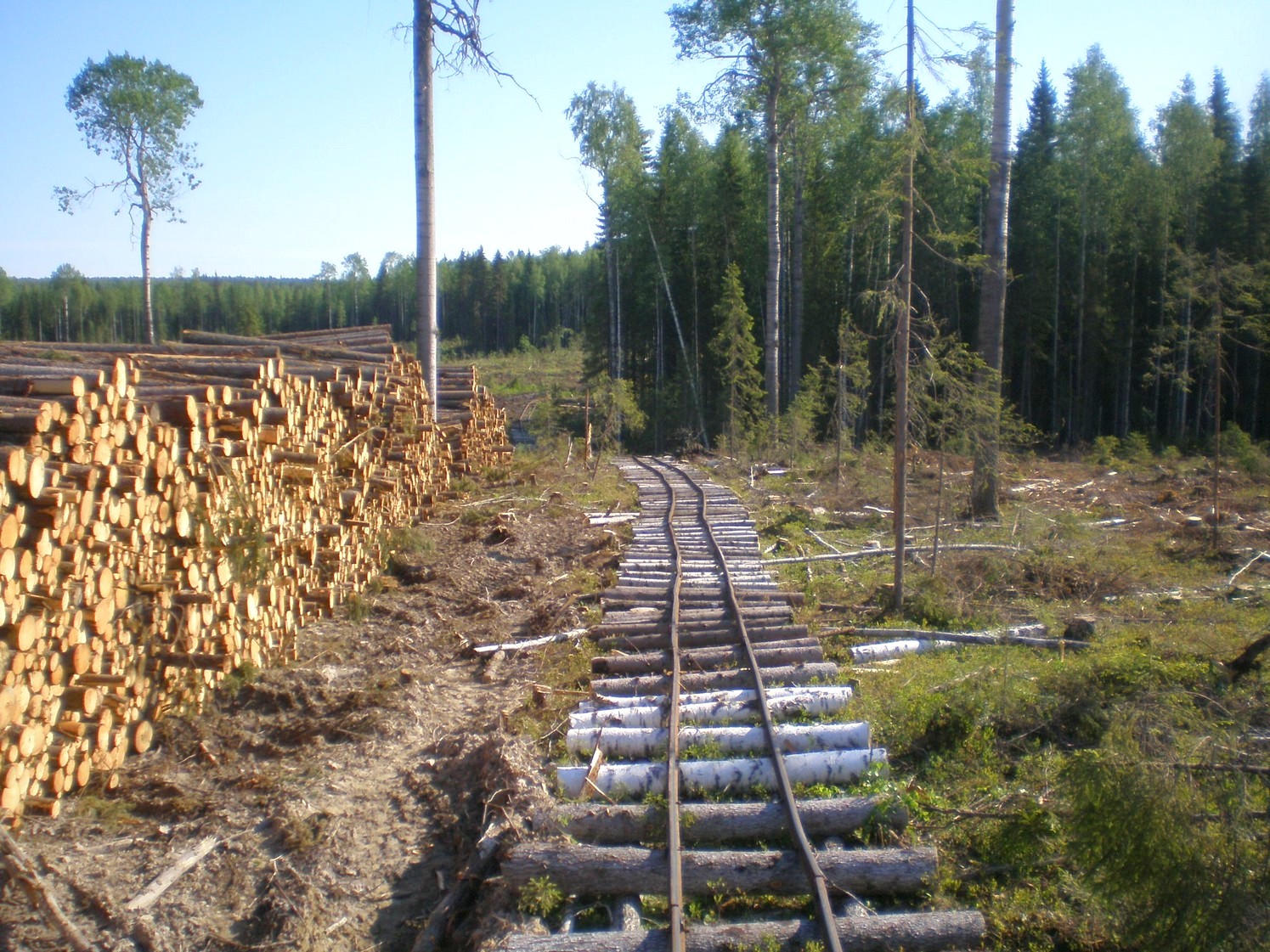 Ивакшанская узкоколейная железная дорога — фотографии, сделанные в 2009 году (часть 15)