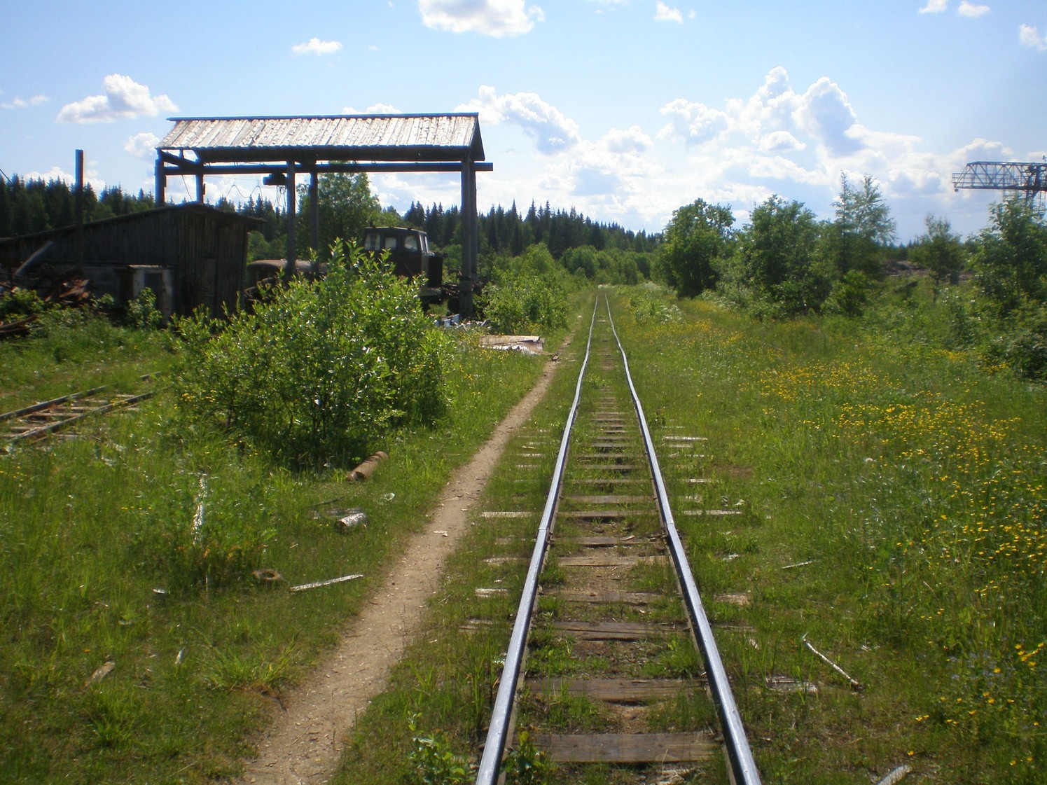 Ивакшанская узкоколейная железная дорога — фотографии, сделанные в 2009 году (часть 18)