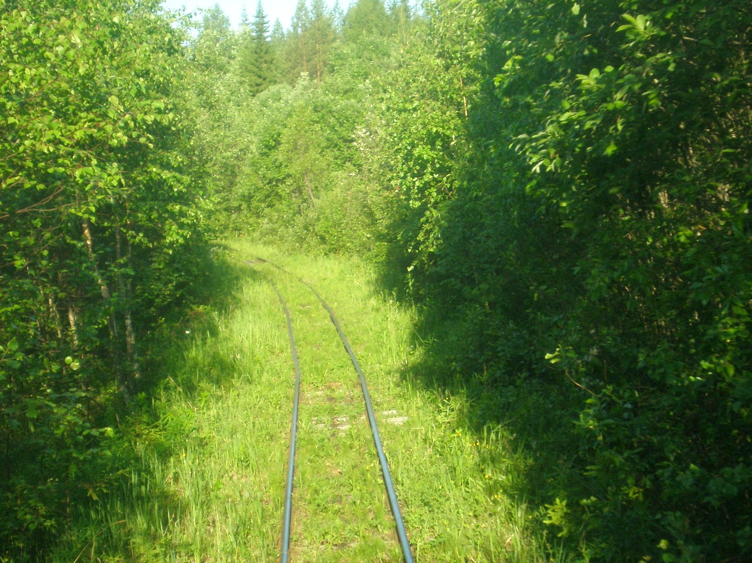 Ивакшанская узкоколейная железная дорога — фотографии, сделанные в 2009 году (часть 5)