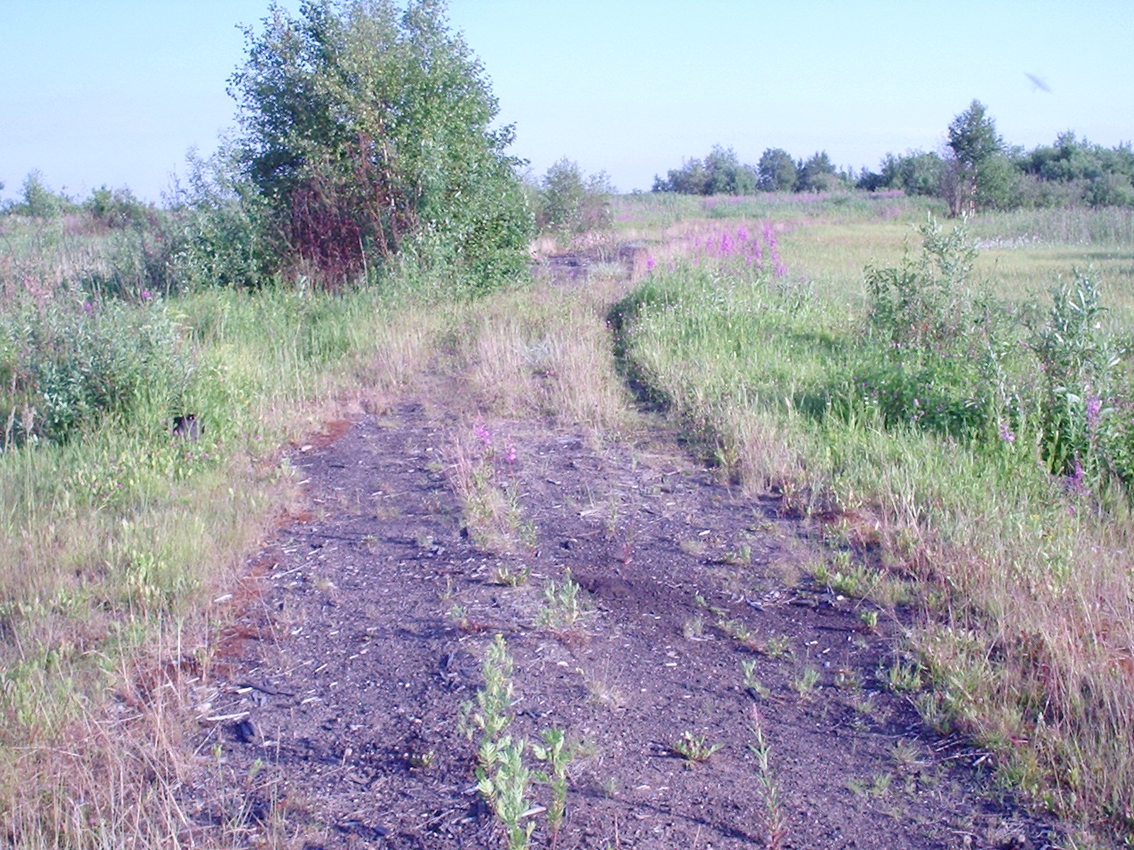 Кудемская узкоколейная железная дорога — фотографии, сделанные в 2005 году  (часть 1)