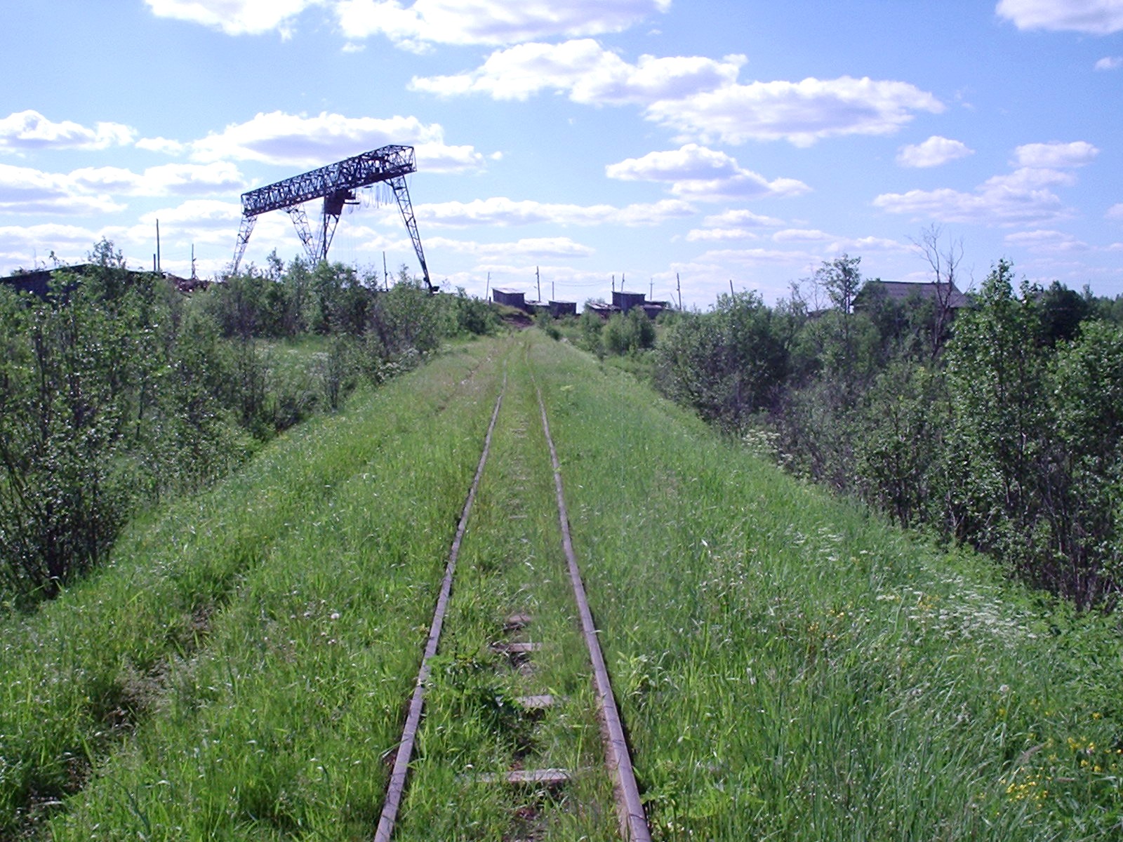 Кодинская узкоколейная железная дорога - фотографии  (часть 7)